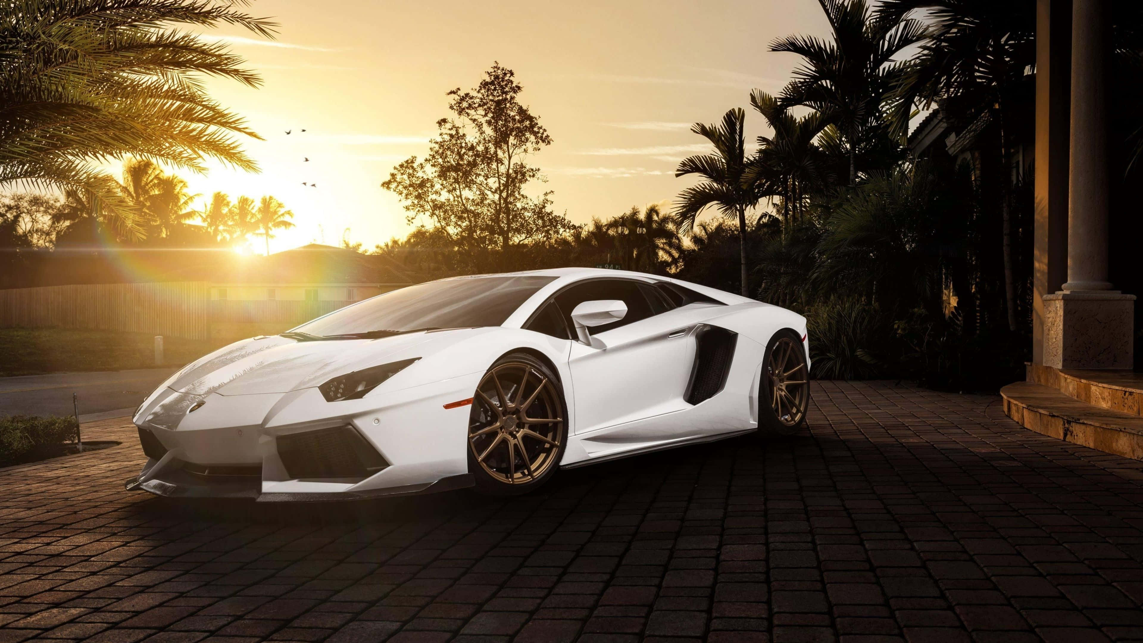 林寶堅尼 4K 桌布 壁紙 — 一輛純白色的林寶堅尼 Aventador 在金色夕陽下，於石頭車道上棕櫚樹旁閃閃發光。