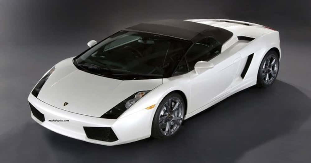 Car Model 桌布 壁紙 — 一輛純白色的林寶堅尼 Gallardo Spyder 開篷跑車，配備黑色車頂和車輪，在攝影棚內以戲劇性燈光拍攝。