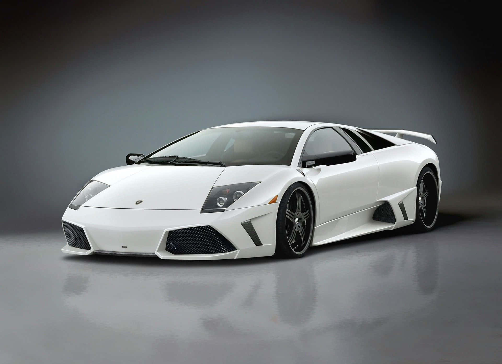 Lamborghini Murciélago 桌布 壁紙 — 一輛純白色的林寶堅尼 Murciélago 跑車在攝影棚燈光下，於反光的灰色地板上閃閃發光。