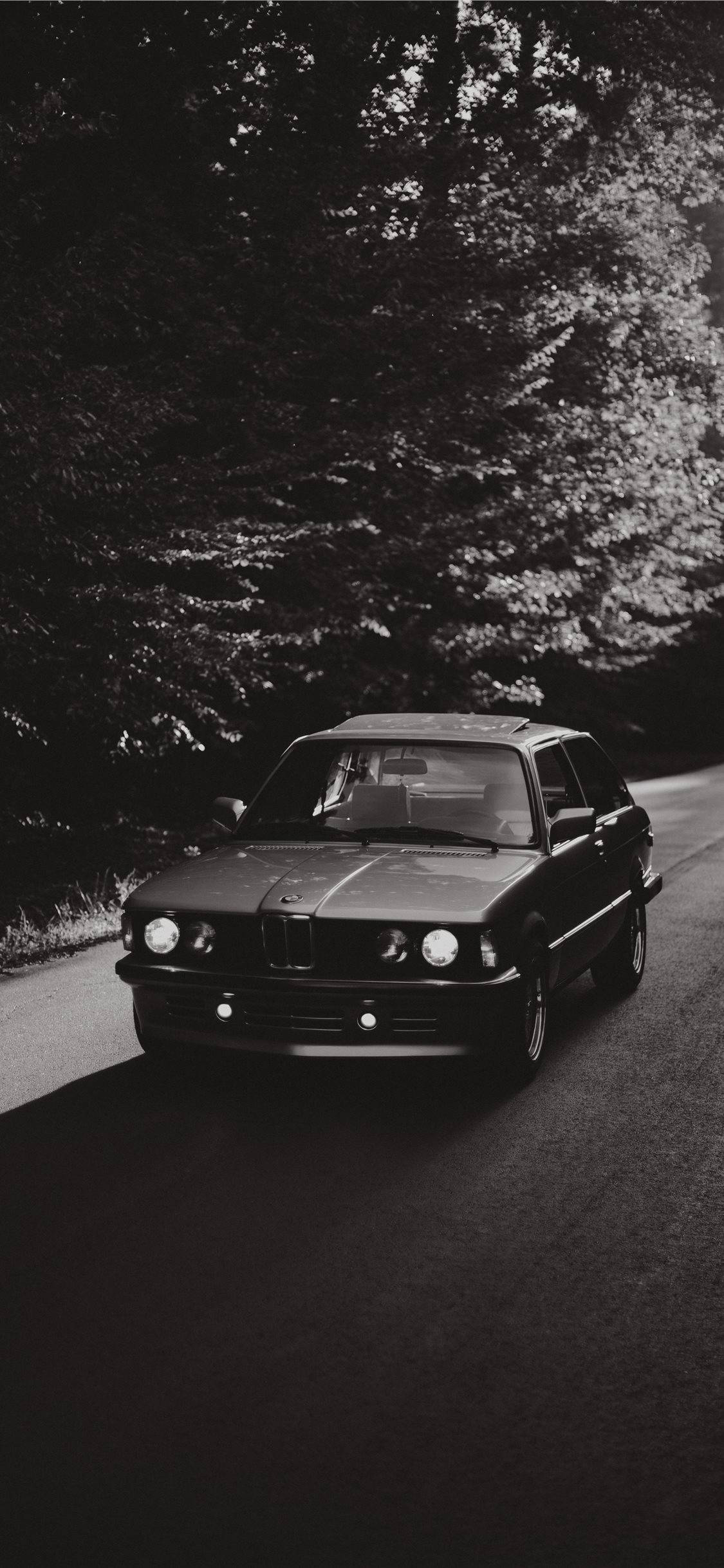 Old Car 桌布 壁紙 — 一輛經典BMW E30房車在戲劇性的黑白燈光下行駛在蜿蜒的森林道路上。