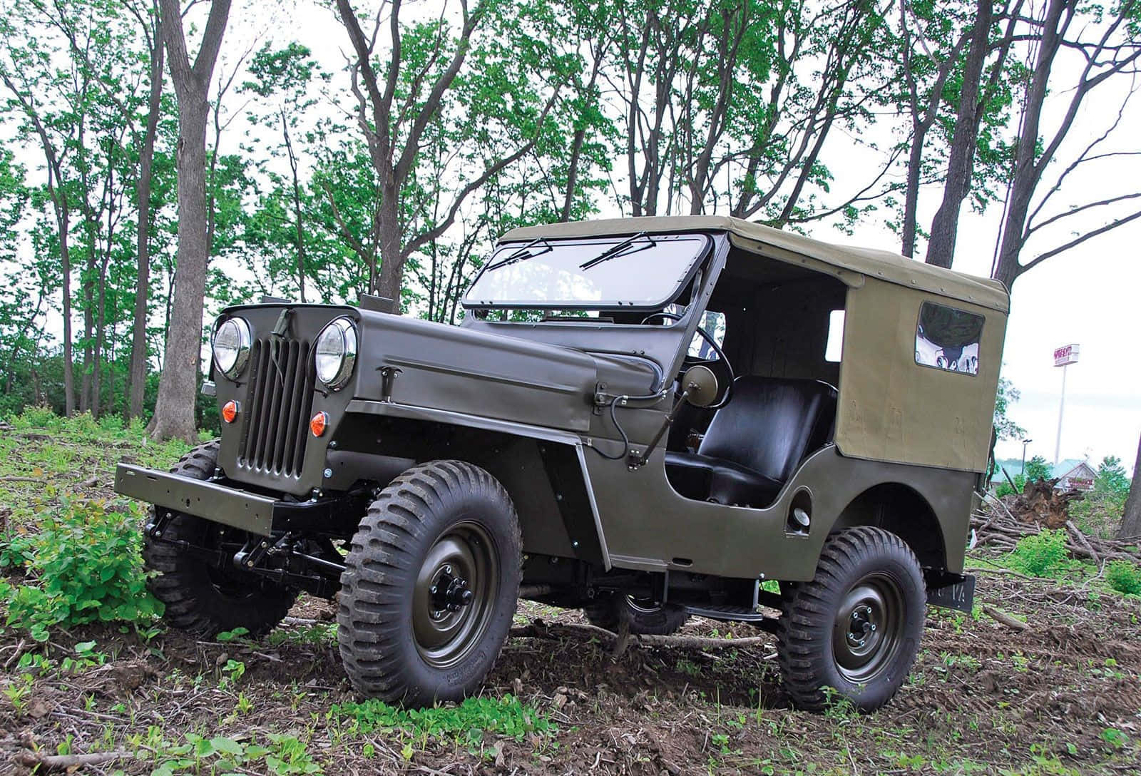 Jeep Cj 桌布 壁紙 — 一輛經典的橄欖綠色軍用吉普車停泊在長滿草嘅森林小徑上，周圍係高大嘅樹木。