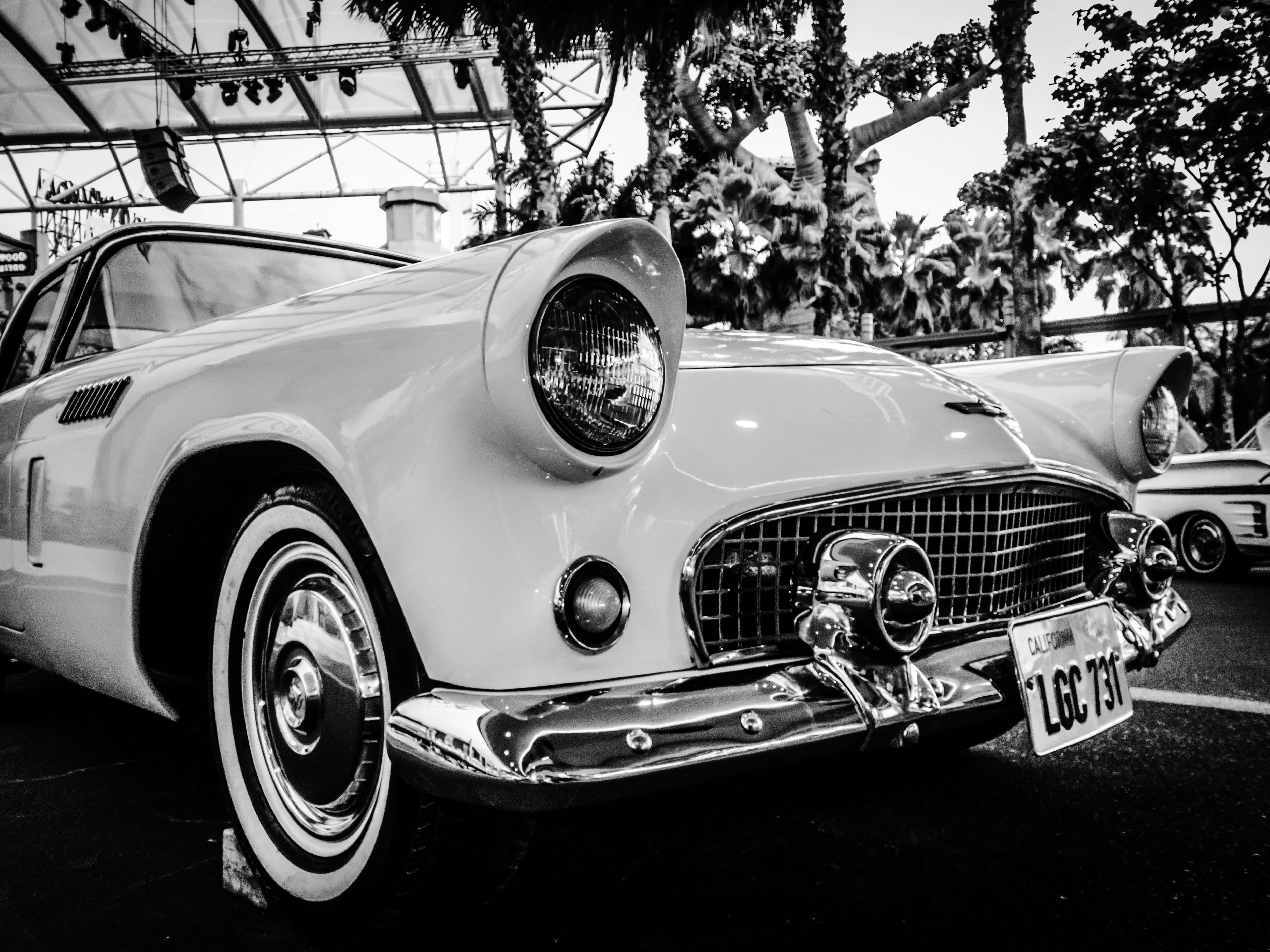 Black And White Vintage Car 桌布 壁紙 — 一輛經典福特雷鳥在棕櫚樹天篷下展示其鍍鉻格柵和圓形頭燈的醒目黑白特寫。