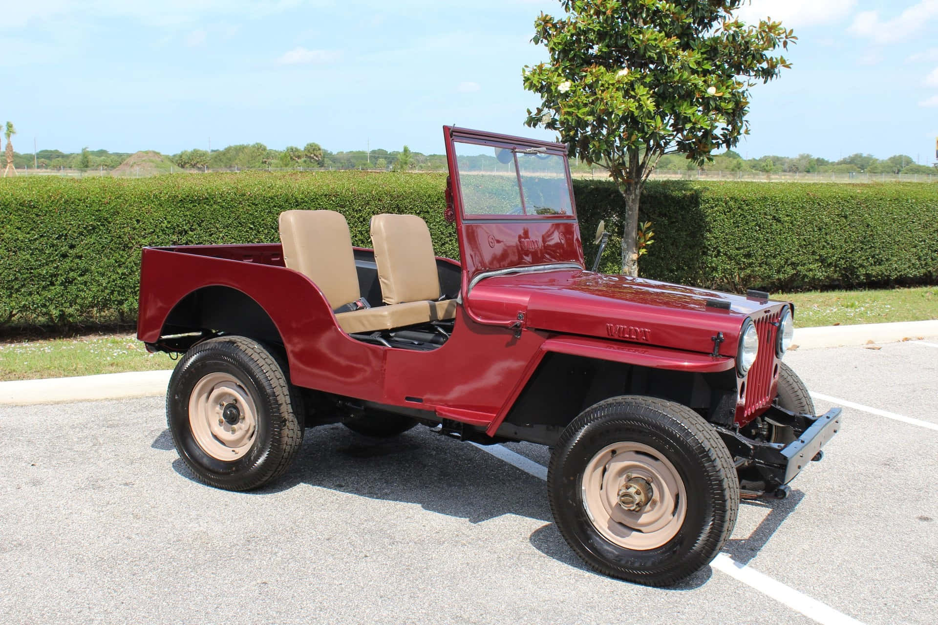 Jeep Willys 桌布 壁紙 — 一輛經典紅色威利斯吉普車，配備棕褐色座椅，停在陽光明媚的停車場，旁邊有綠色籬笆和一棵樹。