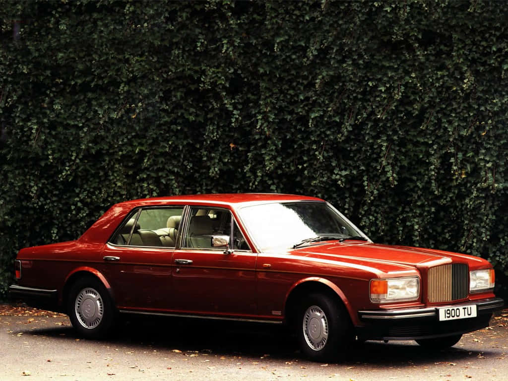 Bentley Turbo R 桌布 壁紙 — 一輛經典紅色賓利房車在日光下閃閃發光，停泊在茂密的綠色常春藤牆前。
