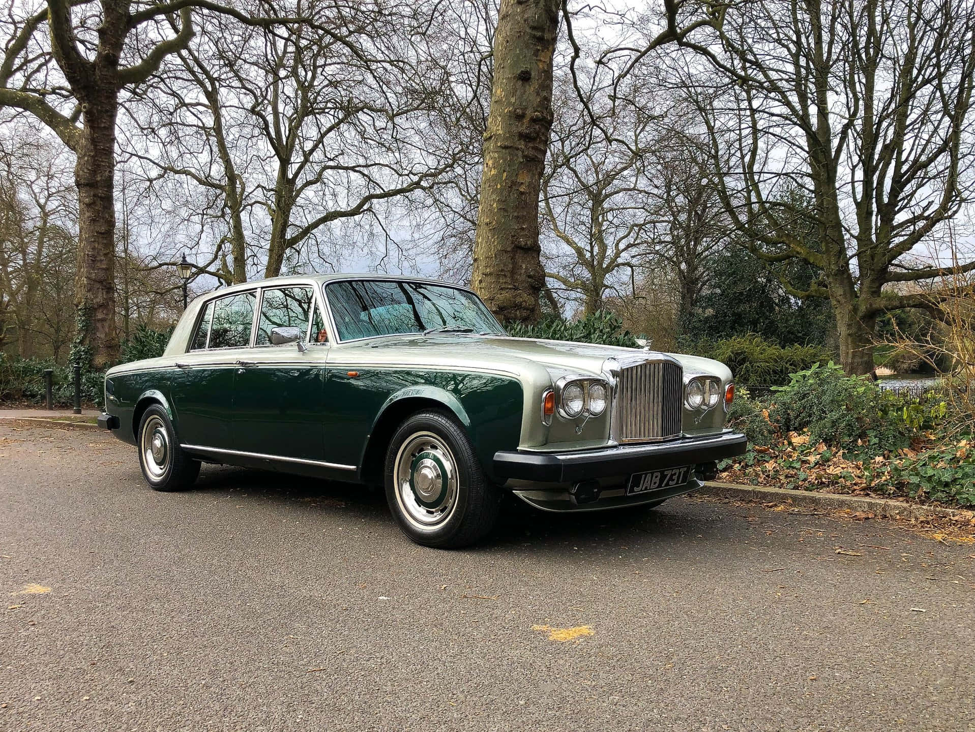Bentley T2 桌布 壁紙 — 一輛經典綠色賓利房車停泊在樹蔭大道上，天空多雲，樹枝光禿。