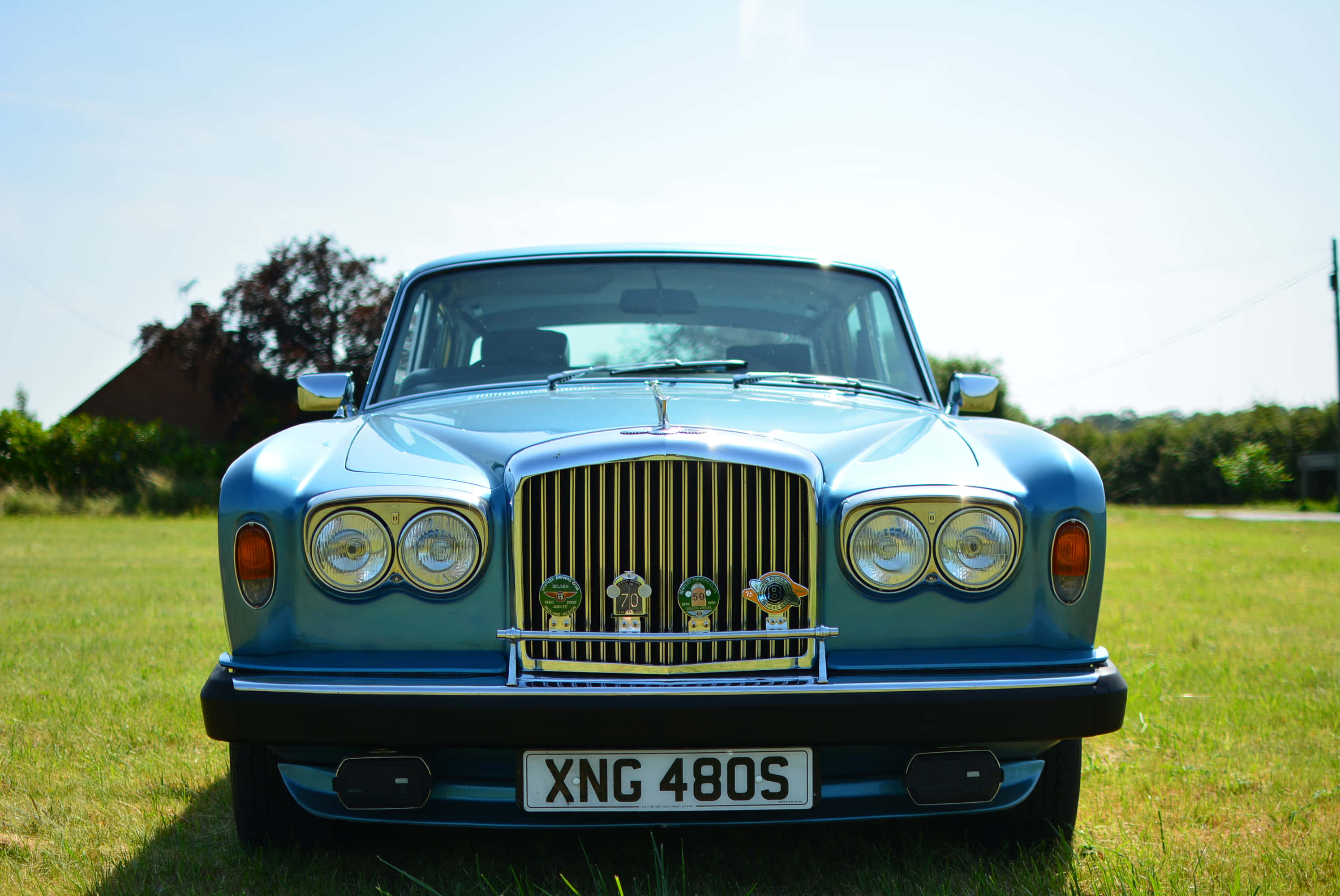 Bentley T2 桌布 壁紙 — 一輛經典藍色賓利，配備金色格柵和賽車獎盃，驕傲地停放在陽光明媚的草地上。