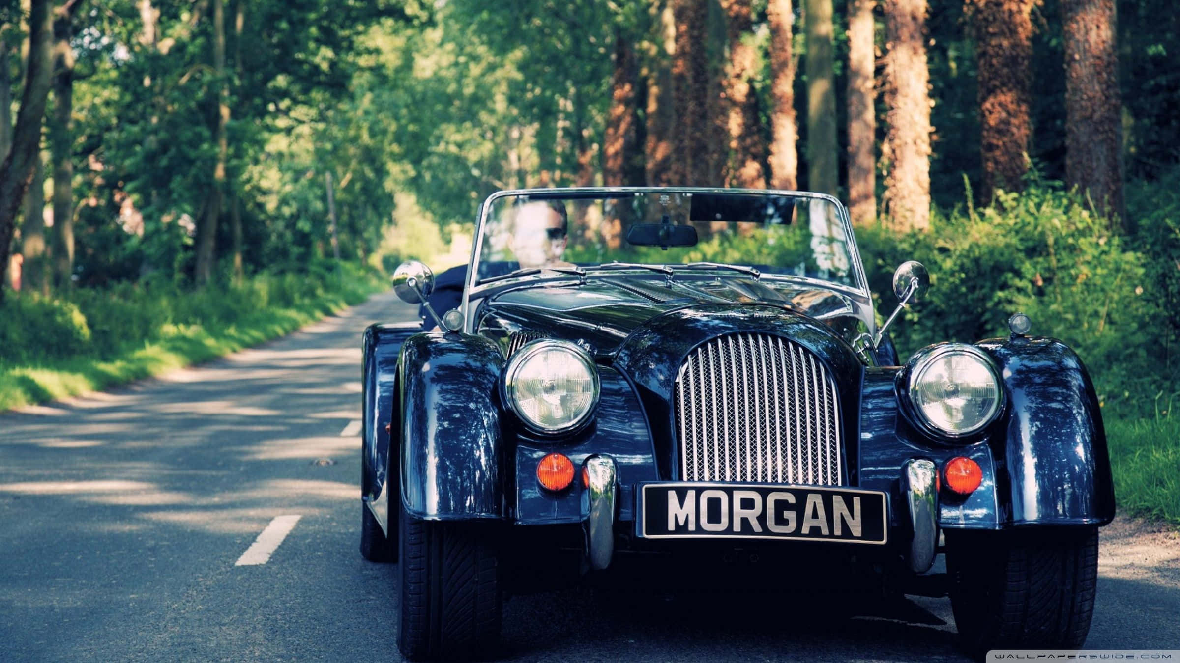 Morgan 桌布 壁紙 — 一輛經典黑色摩根跑車在樹木林立的森林道路上，於斑駁的陽光下閃閃發光。