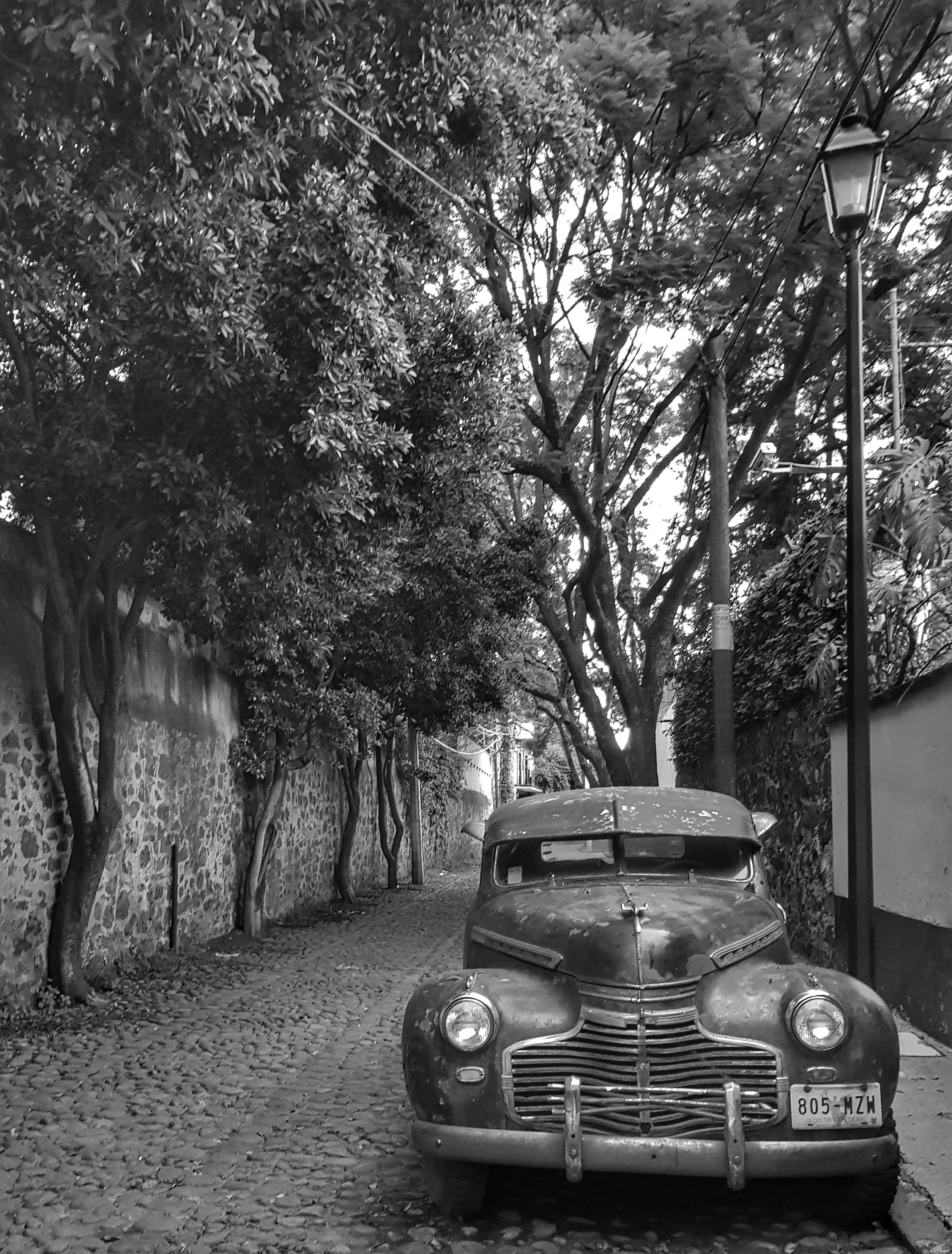 Vintage Black And White 桌布 壁紙 — 一輛老爺車停泊在鵝卵石街道上，街道兩旁種滿茂密的樹木和石牆，在柔和日光下。