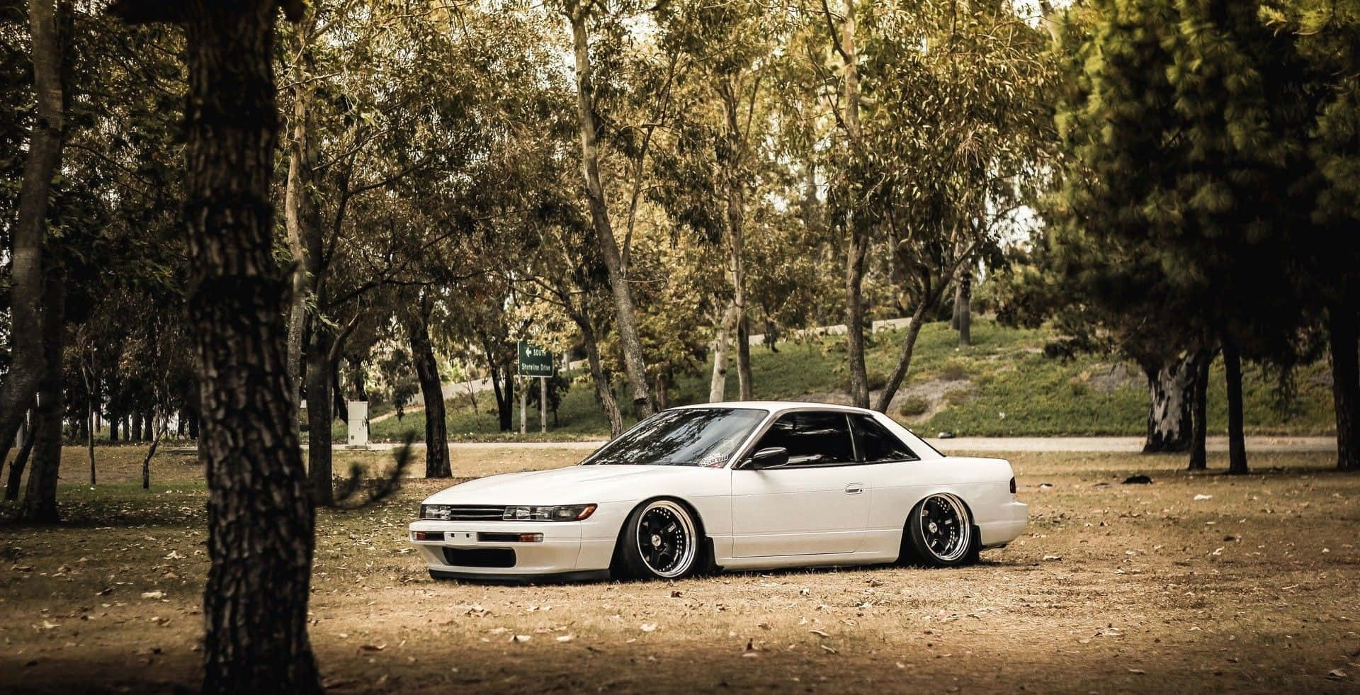 JDM 車 桌布 壁紙 — 一輛配備定制輪圈的純白色跑車停泊在寧靜公園中高聳樹木環繞的泥路上。
