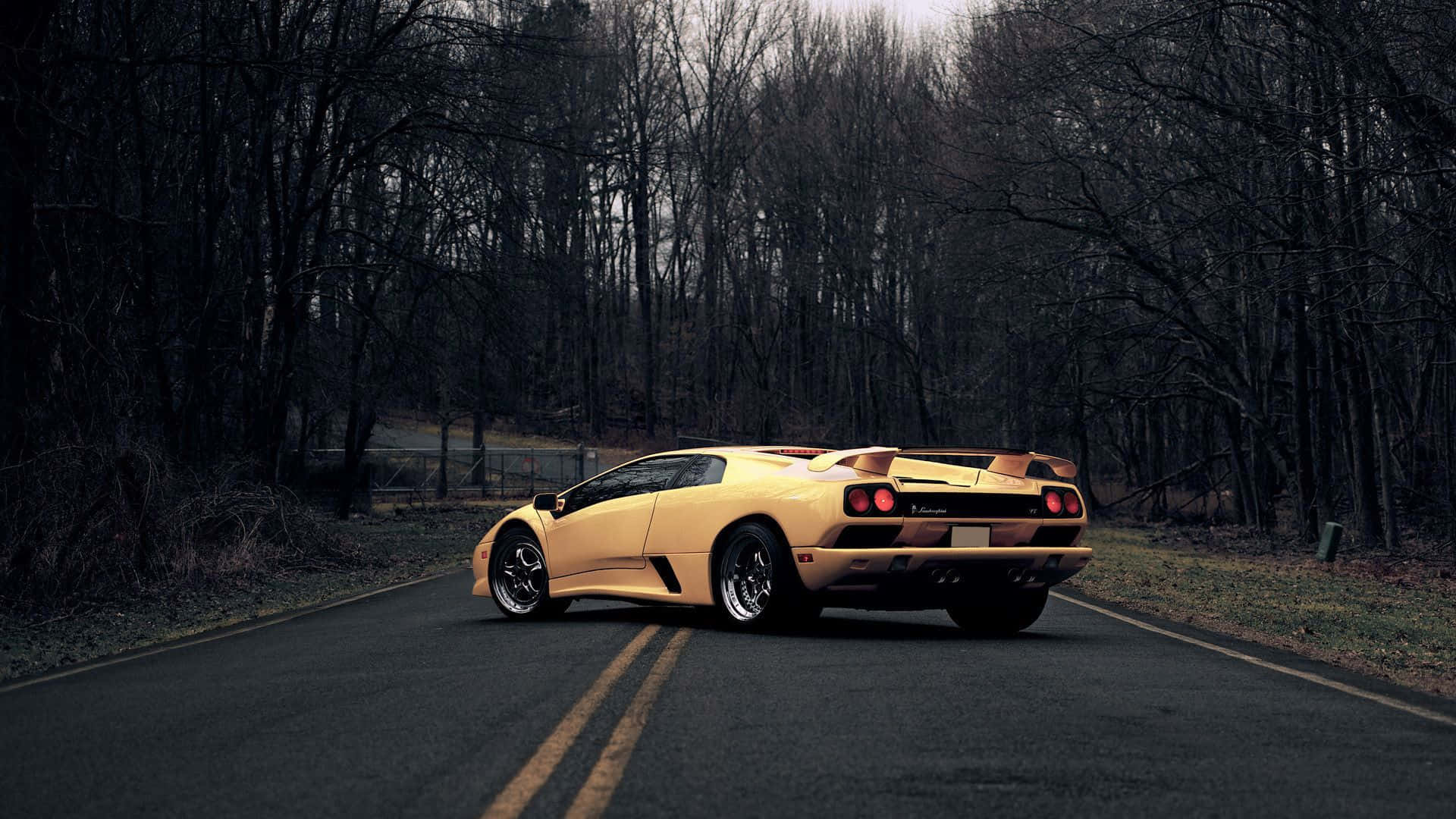 Lamborghini Diablo 桌布 壁紙 — 一輛金色林寶堅尼 Diablo 停泊在森林道路上，周圍是光禿禿的樹木，天空多雲。