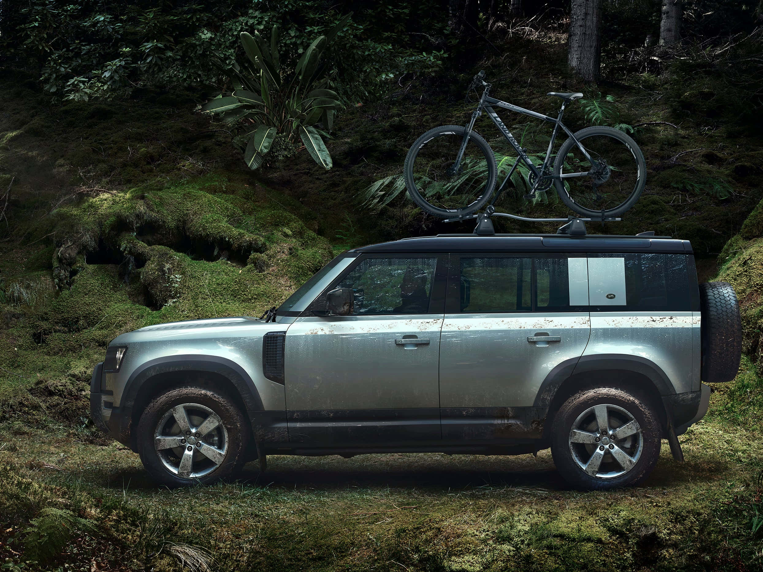 Land Rover Defender 桌布 壁紙 — 一輛銀色 Land Rover Defender 沾滿泥濘，停放在長滿苔蘚的森林中，車頂行李架上裝有一輛山地自行車。