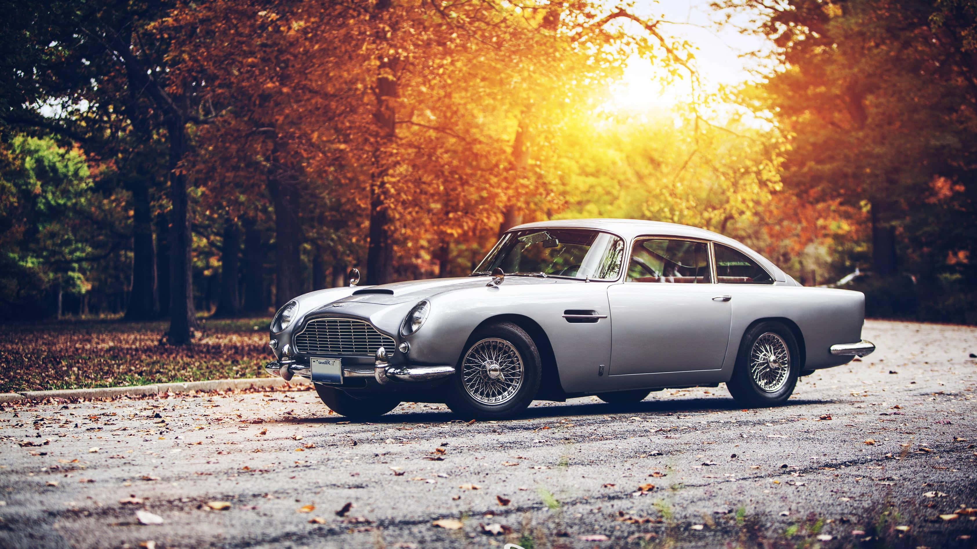 Aston Martin Db5 桌布 壁紙 — 一輛銀色Aston Martin DB5在金色秋陽透過火紅樹葉照射下，於鋪滿落葉的道路上閃閃發光。