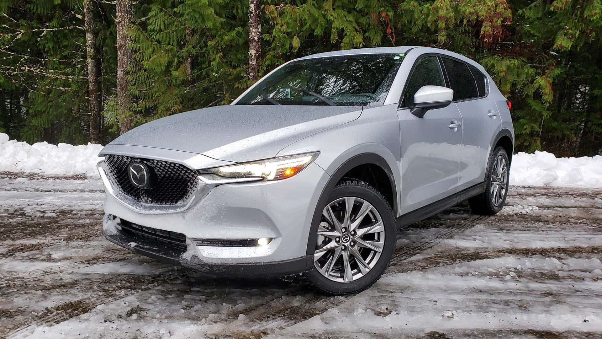 Mazda Cx-30 桌布 壁紙 — 一輛銀色Mazda CX-5 SUV停泊在積雪的森林道路上，背景是常青樹。