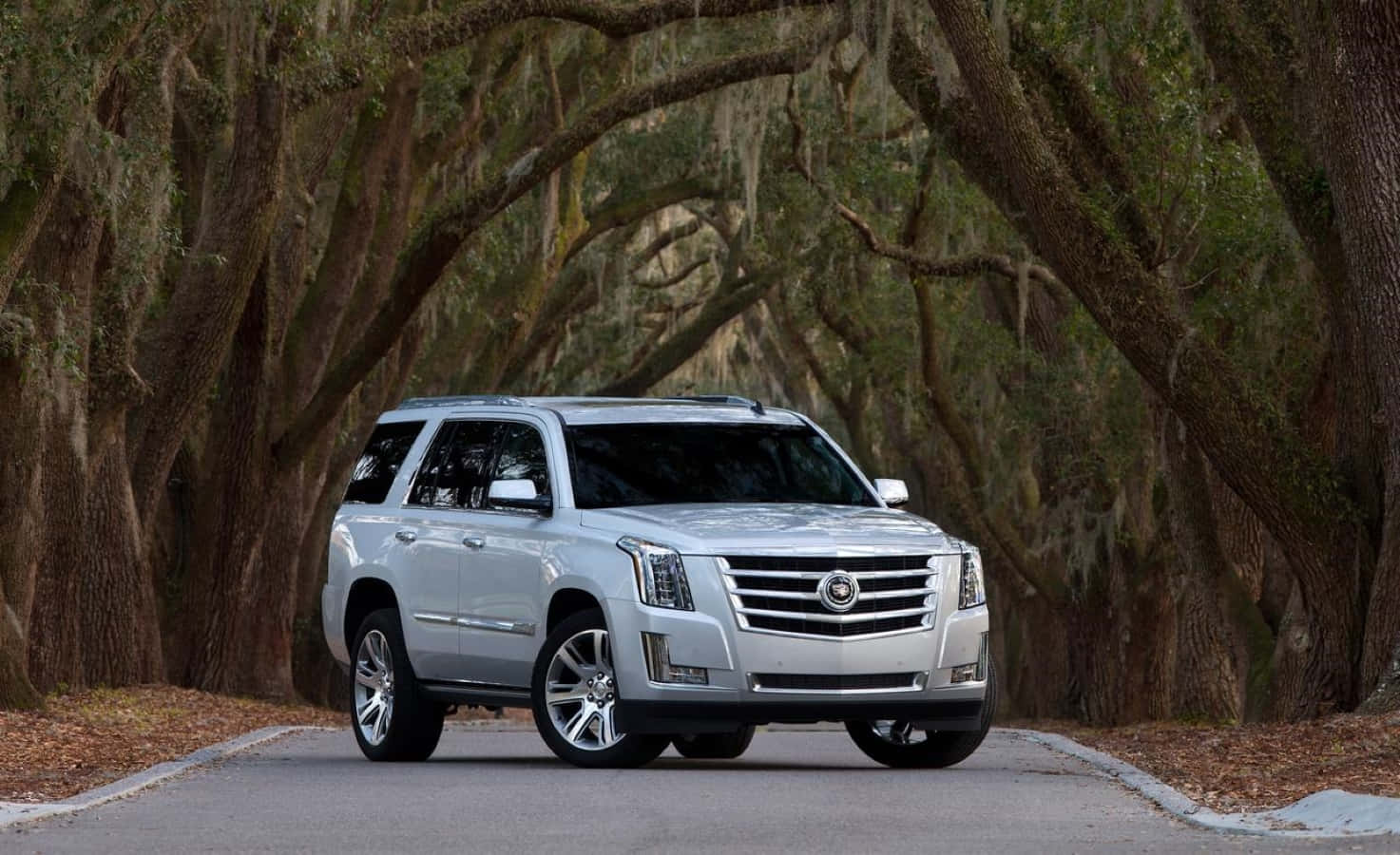 Cadillac Escalade 桌布 壁紙 — 一輛銀色凱迪拉克SUV在寧靜的南方環境中，行駛在一條兩旁種滿樹木、上方覆蓋著苔蘚橡樹樹冠的道路上。