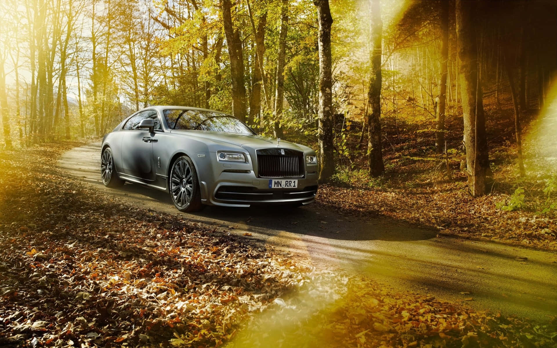 Rolls Royce 桌布 壁紙 — 一輛銀色勞斯萊斯魅影在森林道路上滑行，沐浴在透過光禿樹木灑落的金色秋日陽光中。