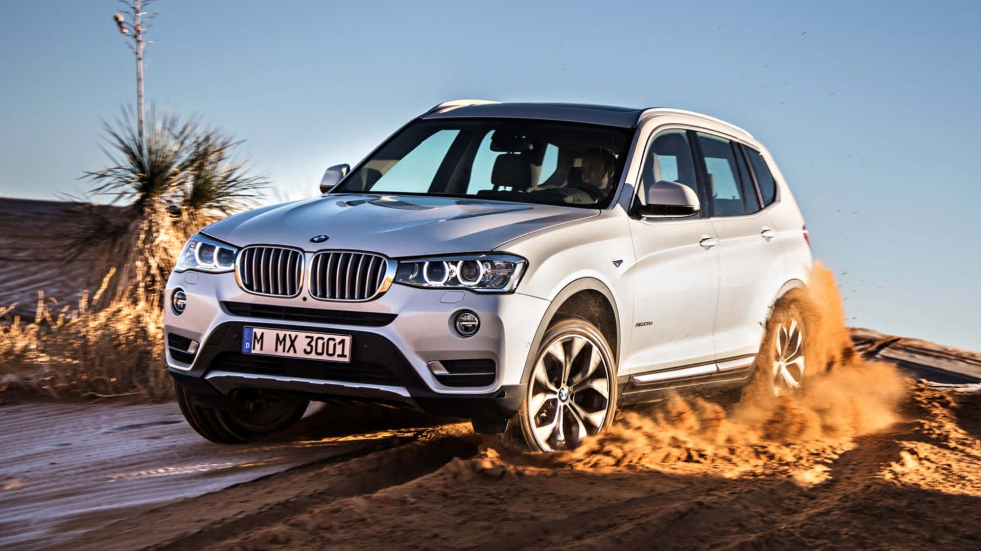 Bmw X3 桌布 壁紙 — 一輛銀色寶馬SUV在陽光明媚、植被稀疏的沙漠景觀中高速行駛，揚起灰塵。