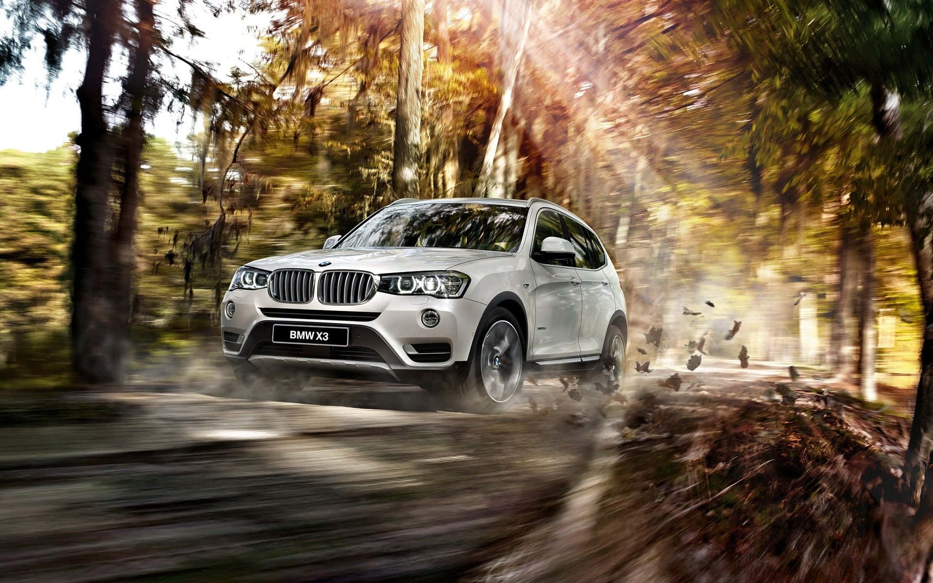 Bmw X3 桌布 壁紙 — 一輛銀色寶馬X3 SUV在陽光明媚的秋林中疾馳，揚起樹葉和塵土，形成動態模糊效果。