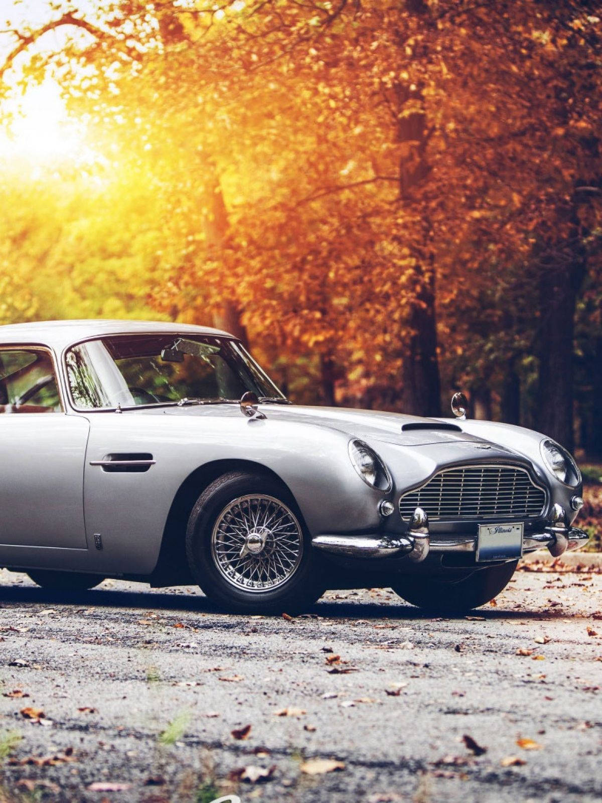 手機 桌布 壁紙 — 一輛銀色經典 Aston Martin DB5 停在落葉滿地的路上，背景是金黃色的秋樹和陽光耀斑。
