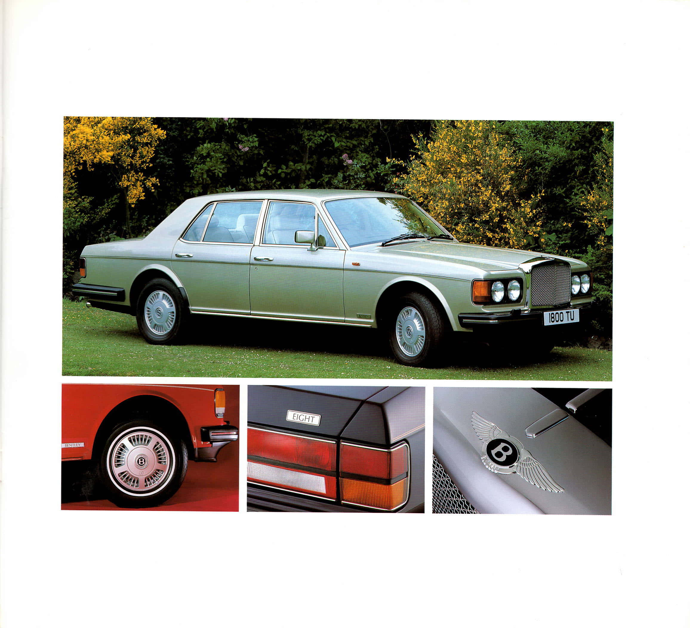 Bentley Eight 桌布 壁紙 — 一輛銀色賓利 Eight 豪華轎車停在草地上，後面有黃色開花灌木，並展示其車輪標誌、尾燈和帶翼 'B' 徽章的近距離特寫。
