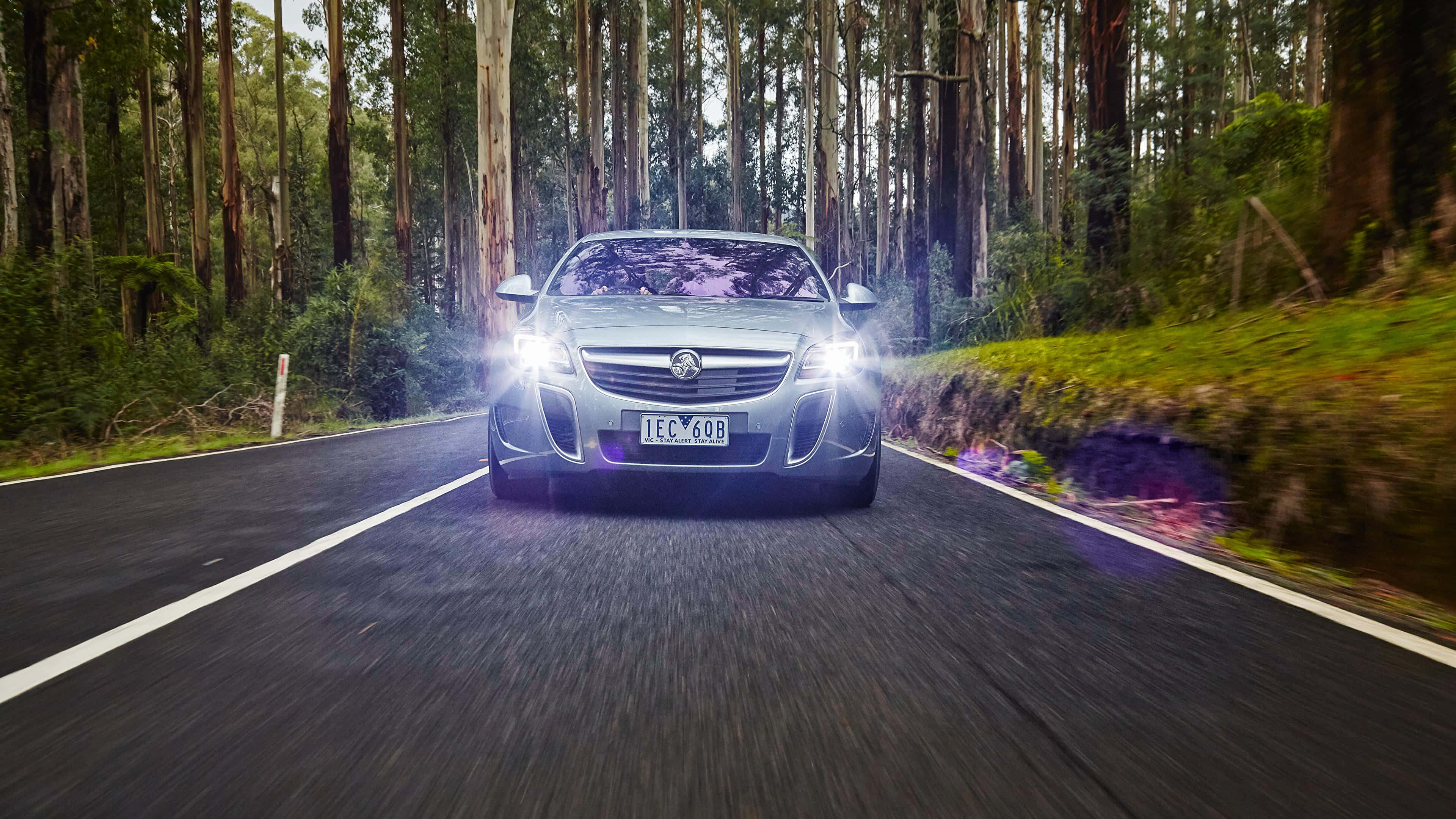 Opel Insignia 桌布 壁紙 — 一輛銀色轎車在樹林環繞的道路上飛馳，車頭燈穿過高大的桉樹閃爍光芒。