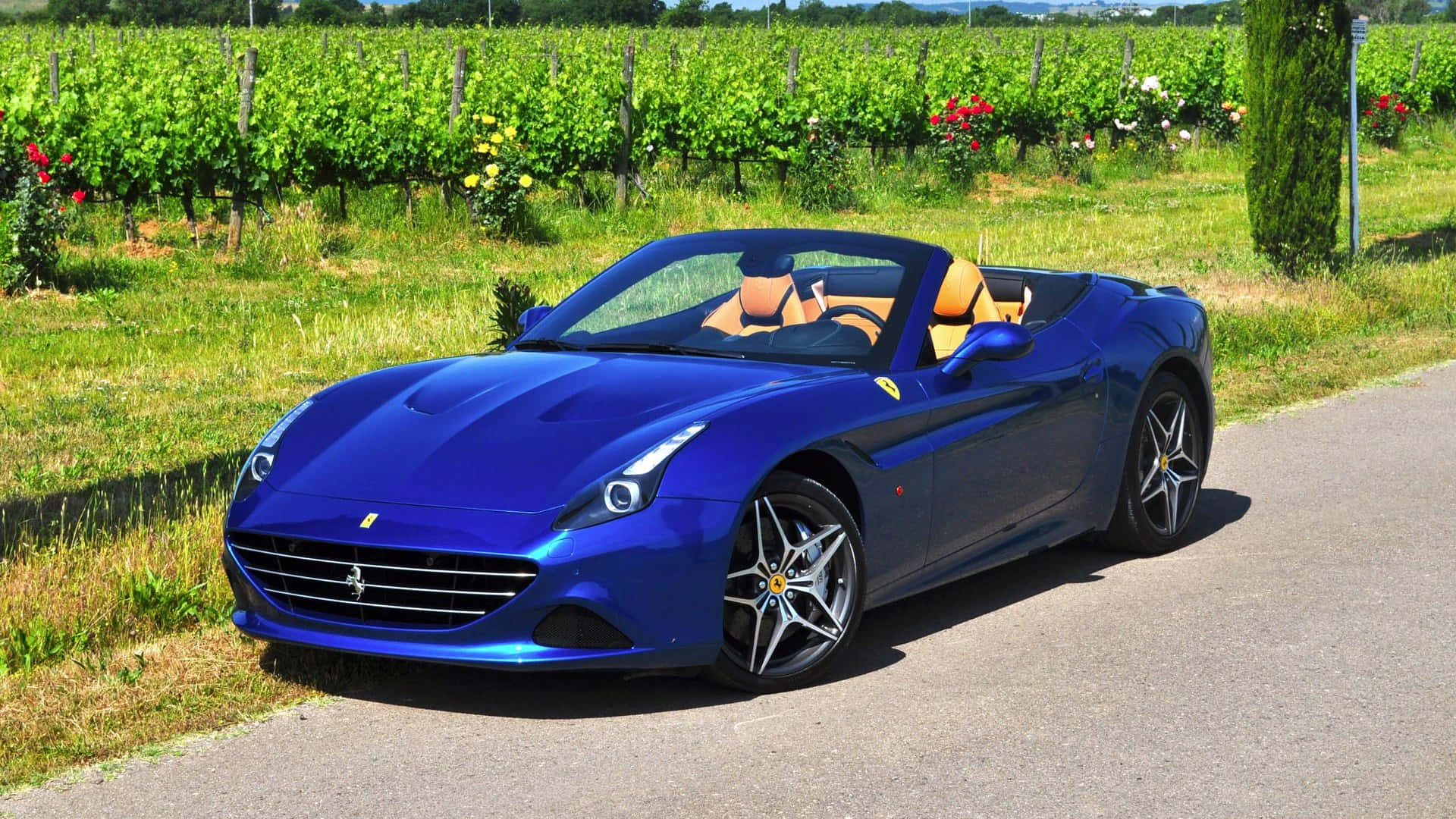 Ferrari California T 桌布 壁紙 — 一輛閃亮的藍色法拉利California開篷車停泊在陽光明媚的鄉村道路旁，旁邊是茂密的綠色葡萄園。
