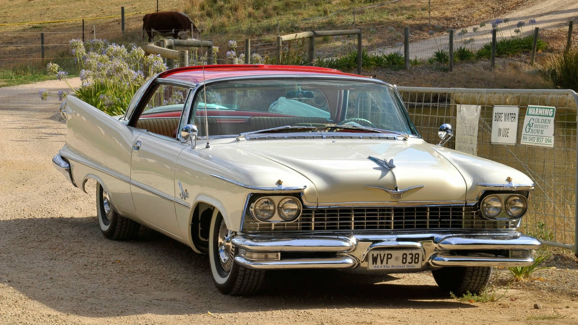 Imperial Crown Chrysler 壁紙 — 一輛閃亮的銀色1950年代凱迪拉克，紅色車頂，停泊在泥路旁，籬笆邊有一頭牛在背景中吃草。