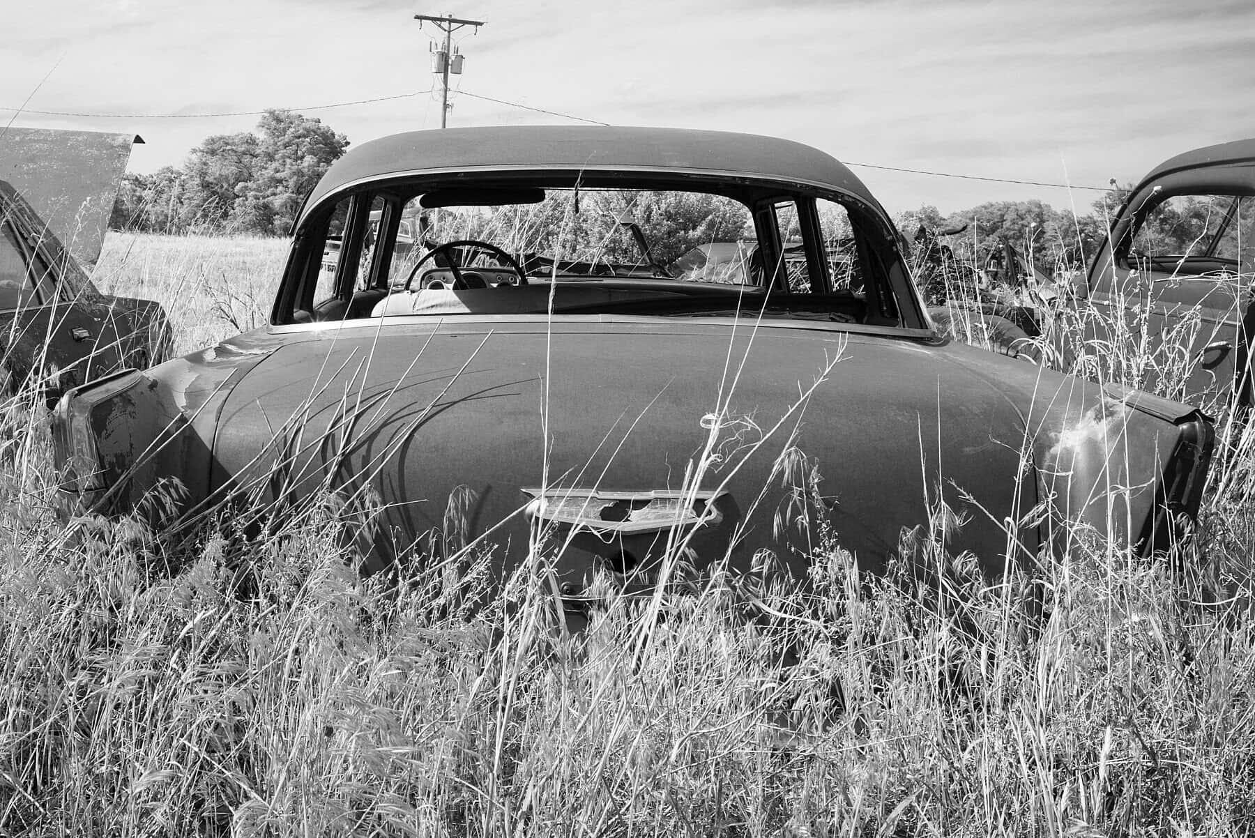 Black And White Vintage Car 桌布 壁紙 — 一輛風化的老爺車被遺棄在高高的草叢中，天空明亮，遠處有電線。
