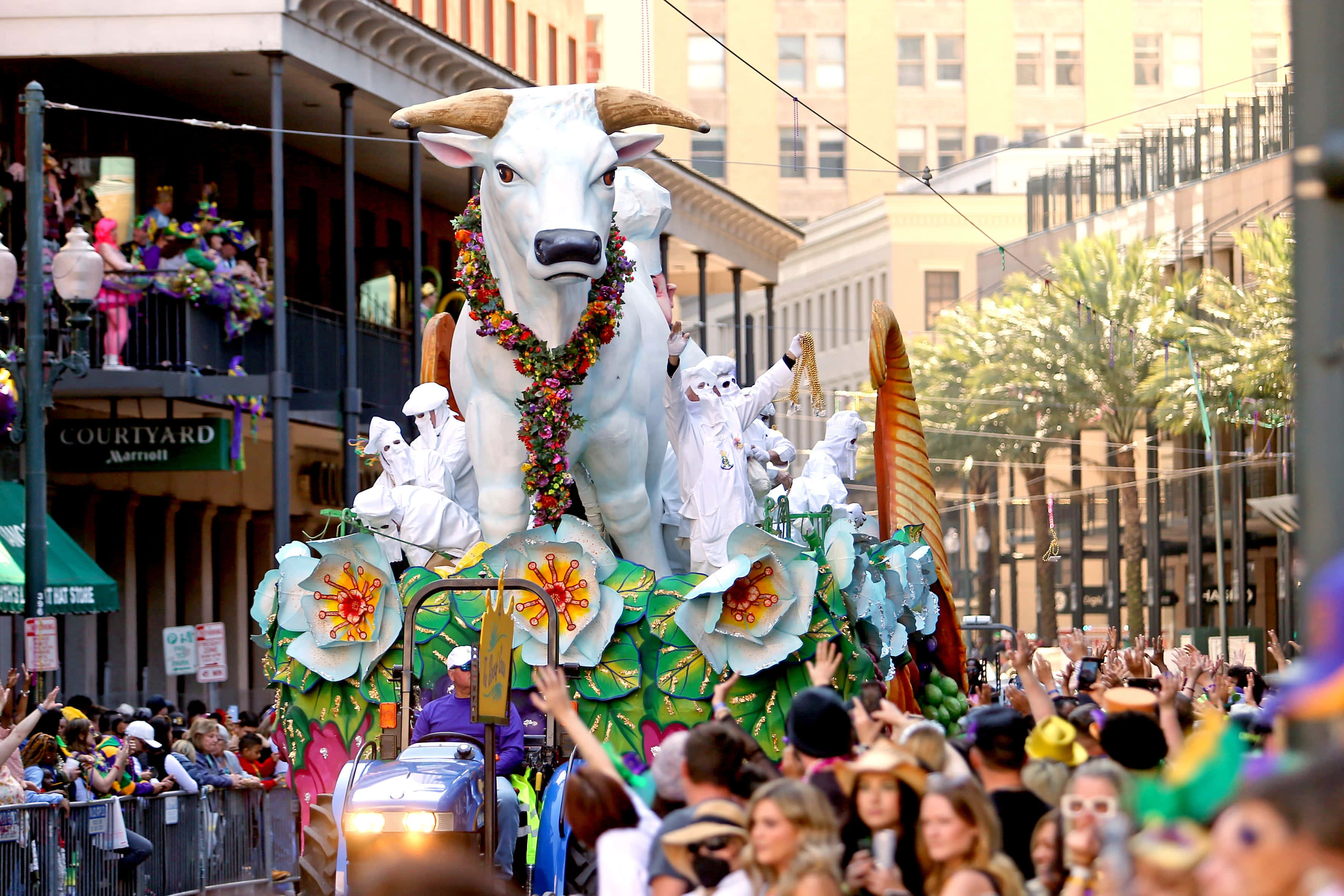 Mardi Gras 桌布 壁紙 — 一輛飾有彩色鮮花的巨型白色公牛花車，在充滿歡呼人群的熱鬧城市街道上巡遊。