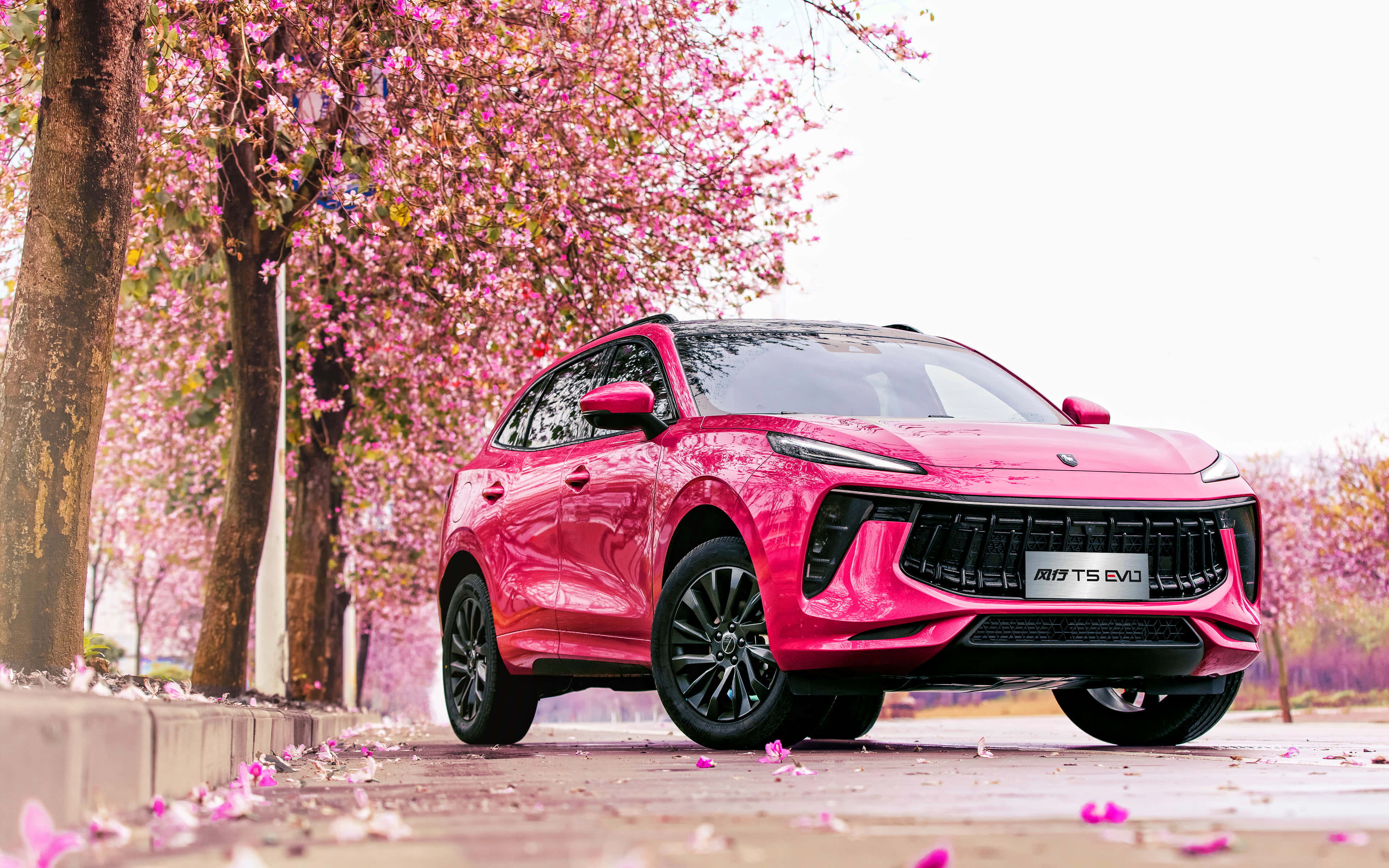 Dongfeng 桌布 壁紙 — 一輛鮮粉紅色SUV停泊在盛開的櫻花樹下，地上散落著花瓣。