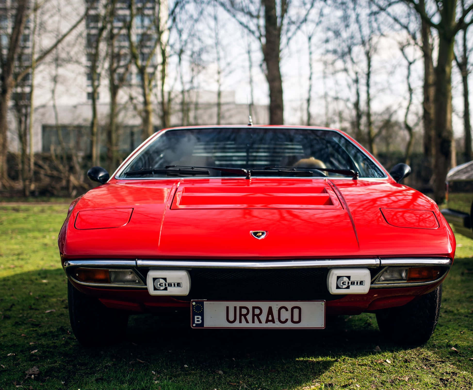 Lamborghini Urraco 桌布 壁紙 — 一輛鮮紅色的林寶堅尼 Urraco 跑車停泊在草地上，背景有光禿的樹木和一座建築物。