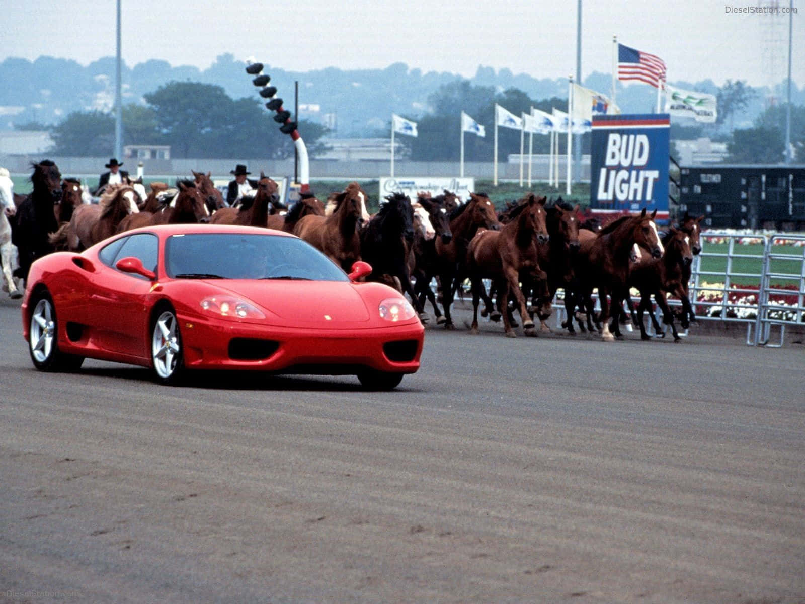Ferrari 360 Modena 桌布 壁紙 — 一輛鮮紅色的法拉利F355在陰天下的泥地賽道上，飛馳而過一群奔騰的賽馬。