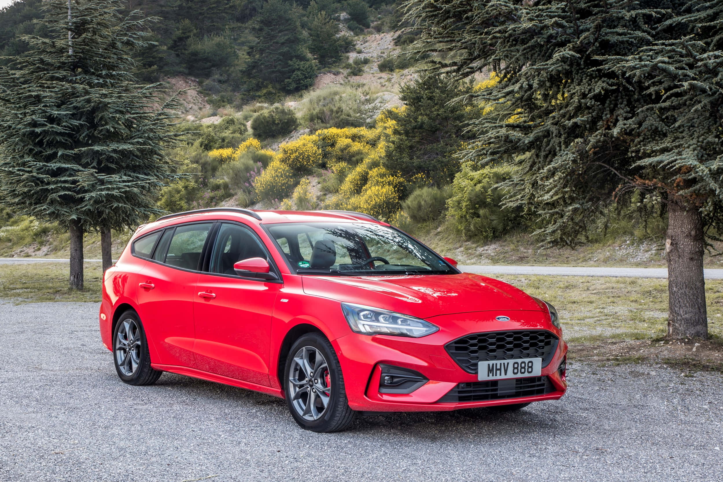 Ford Focus 桌布 壁紙 — 一輛鮮紅色的福特福克斯旅行車停在碎石路上，旁邊是高聳的常綠樹，背景有黃色開花灌木。