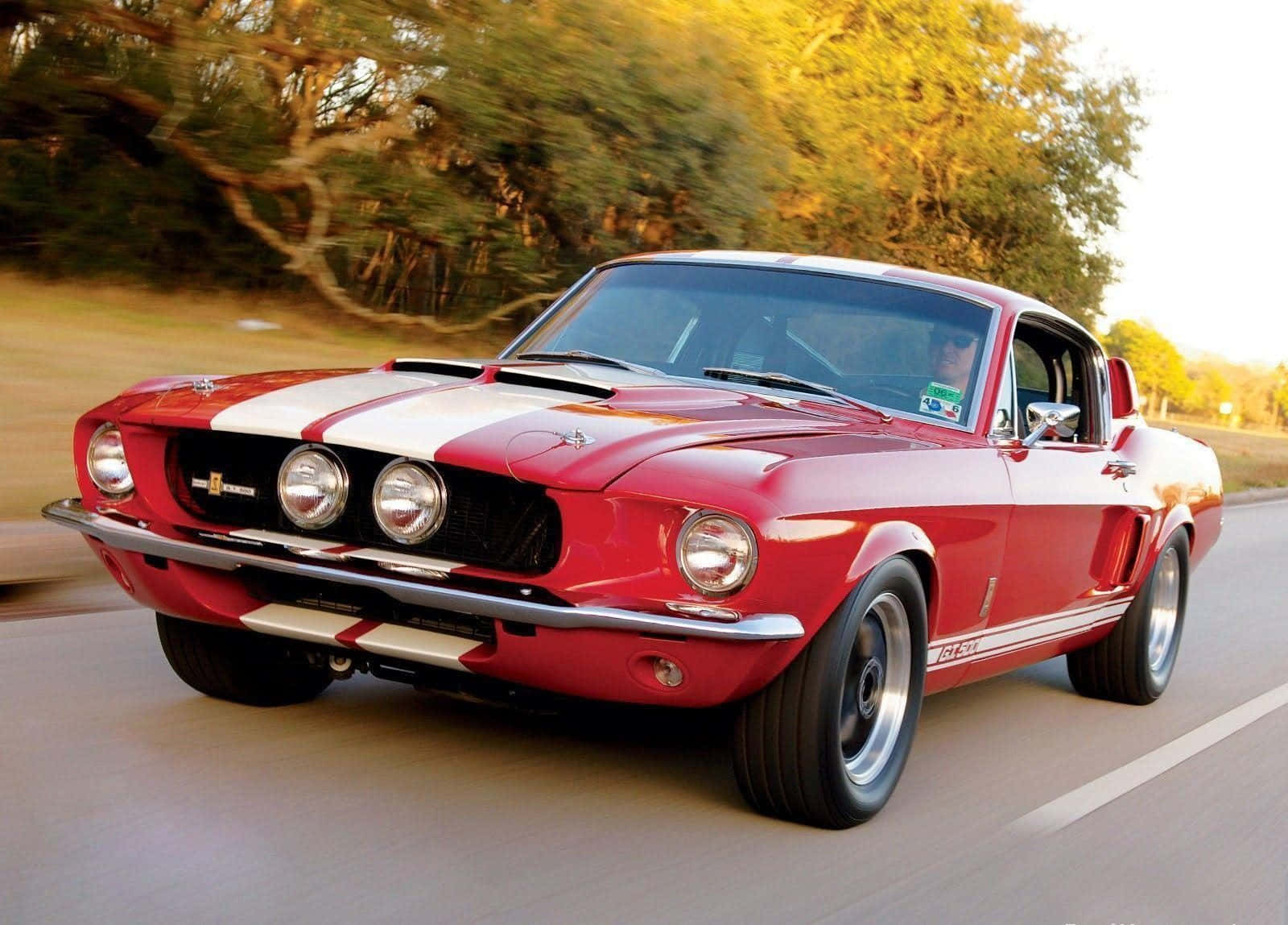 野馬 桌布 壁紙 — 一輛鮮紅色的經典福特野馬Shelby GT350在陽光明媚的道路上飛馳，背景是模糊的樹木。
