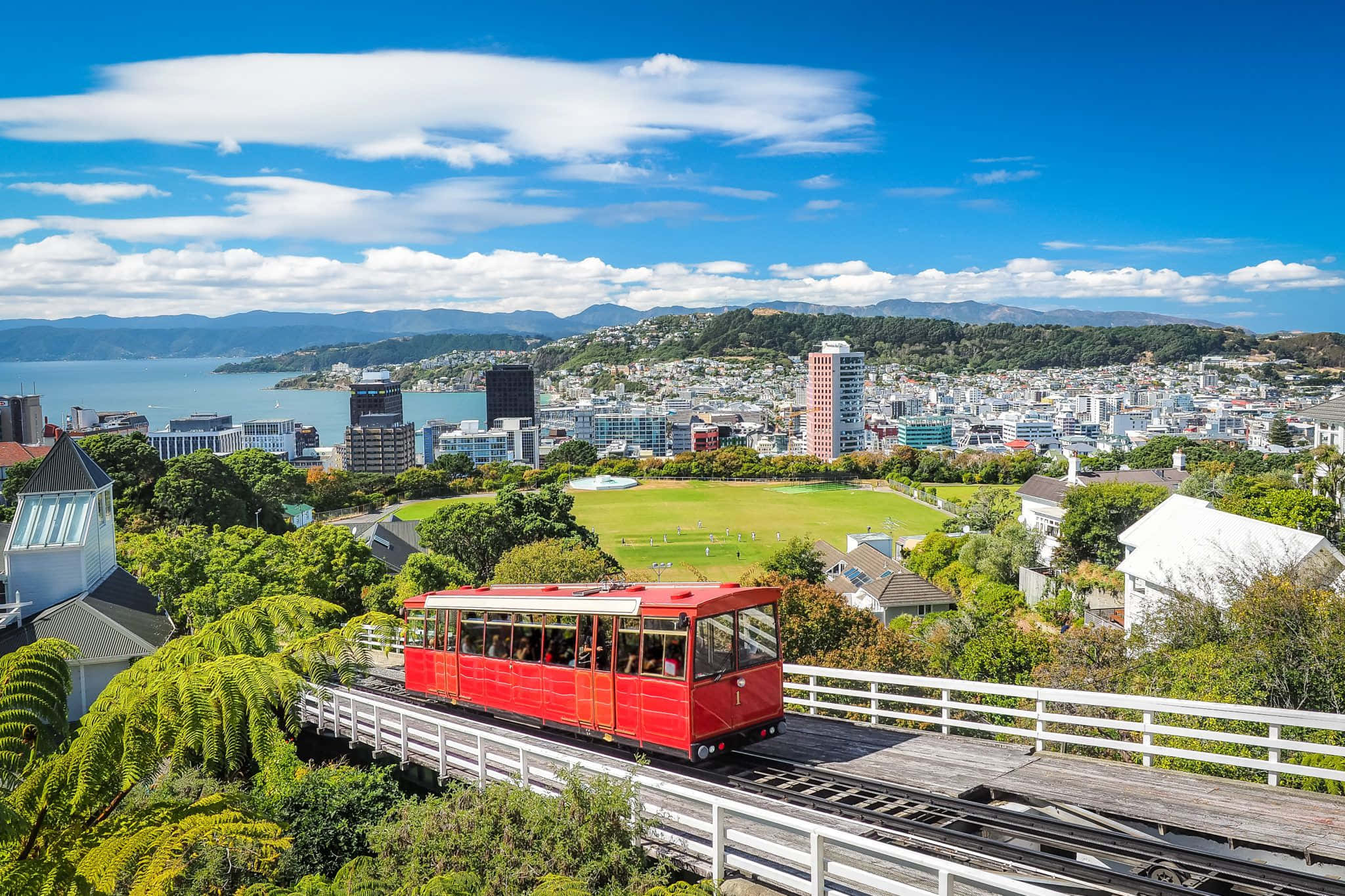New Zealand 桌布 壁紙 — 一輛鮮紅色的纜車沿著木製軌道滑行，穿過茂密的綠蔭，俯瞰著廣闊的海濱城市，天空湛藍，白雲朵朵。