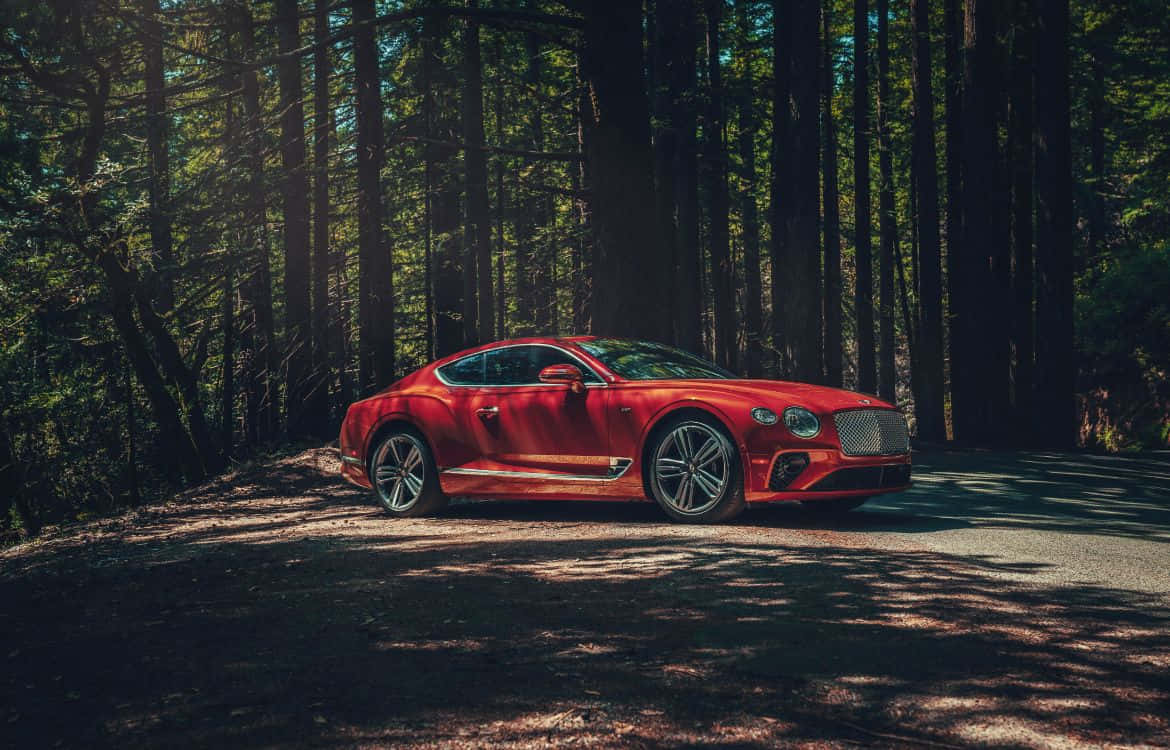 Bentley Continental Gt 桌布 壁紙 — 一輛鮮紅色的賓利 Continental GT 在高聳樹木茂密森林中斑駁的陽光下閃閃發光。