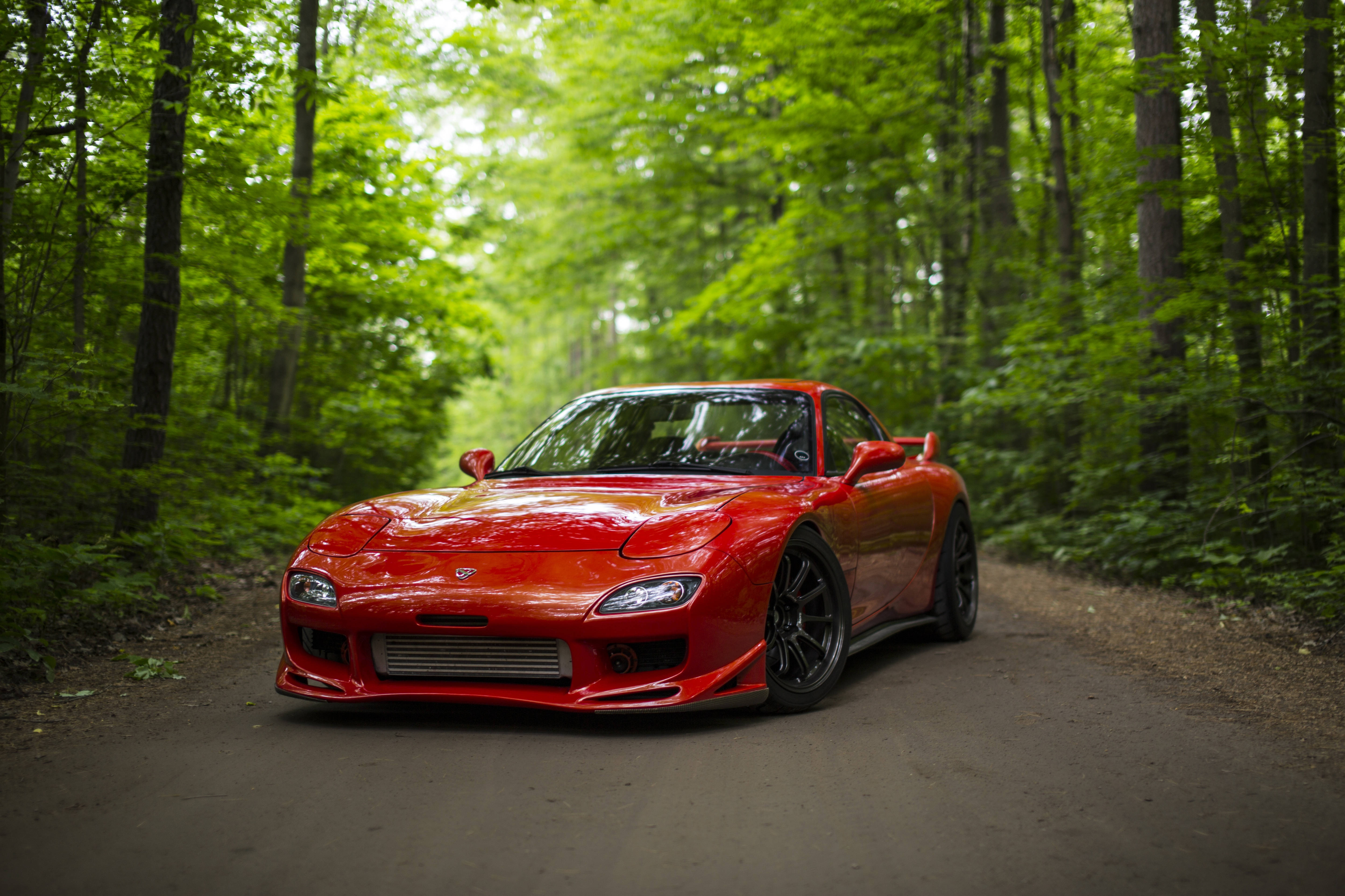 Mazda 桌布 壁紙 — 一輛鮮紅色的跑車在綠樹成蔭的森林道路上閃閃發光。