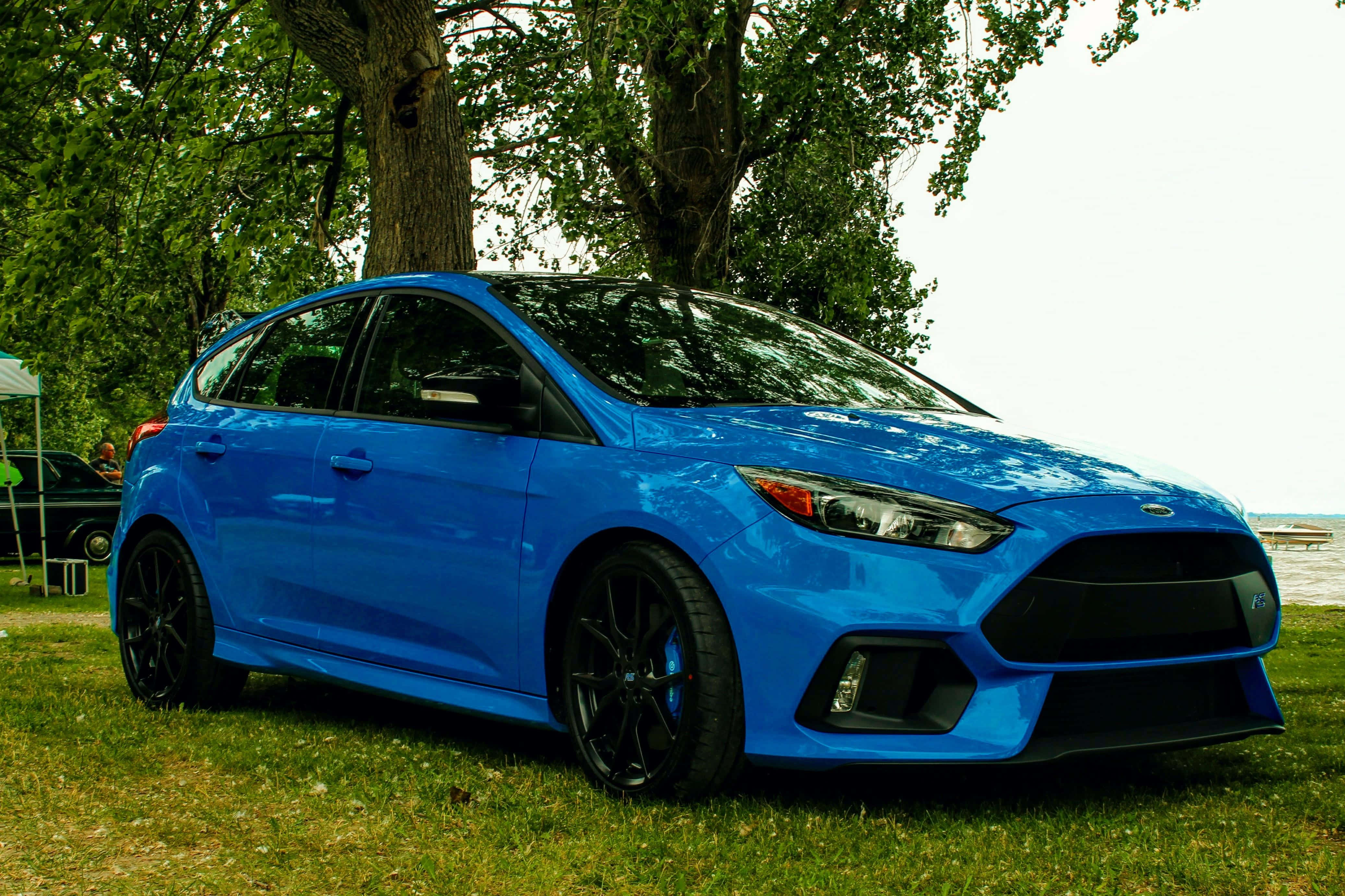 Ford Focus 桌布 壁紙 — 一輛鮮藍色的福特福克斯RS停在草地上，樹葉茂密的樹木下，背景是湖泊。