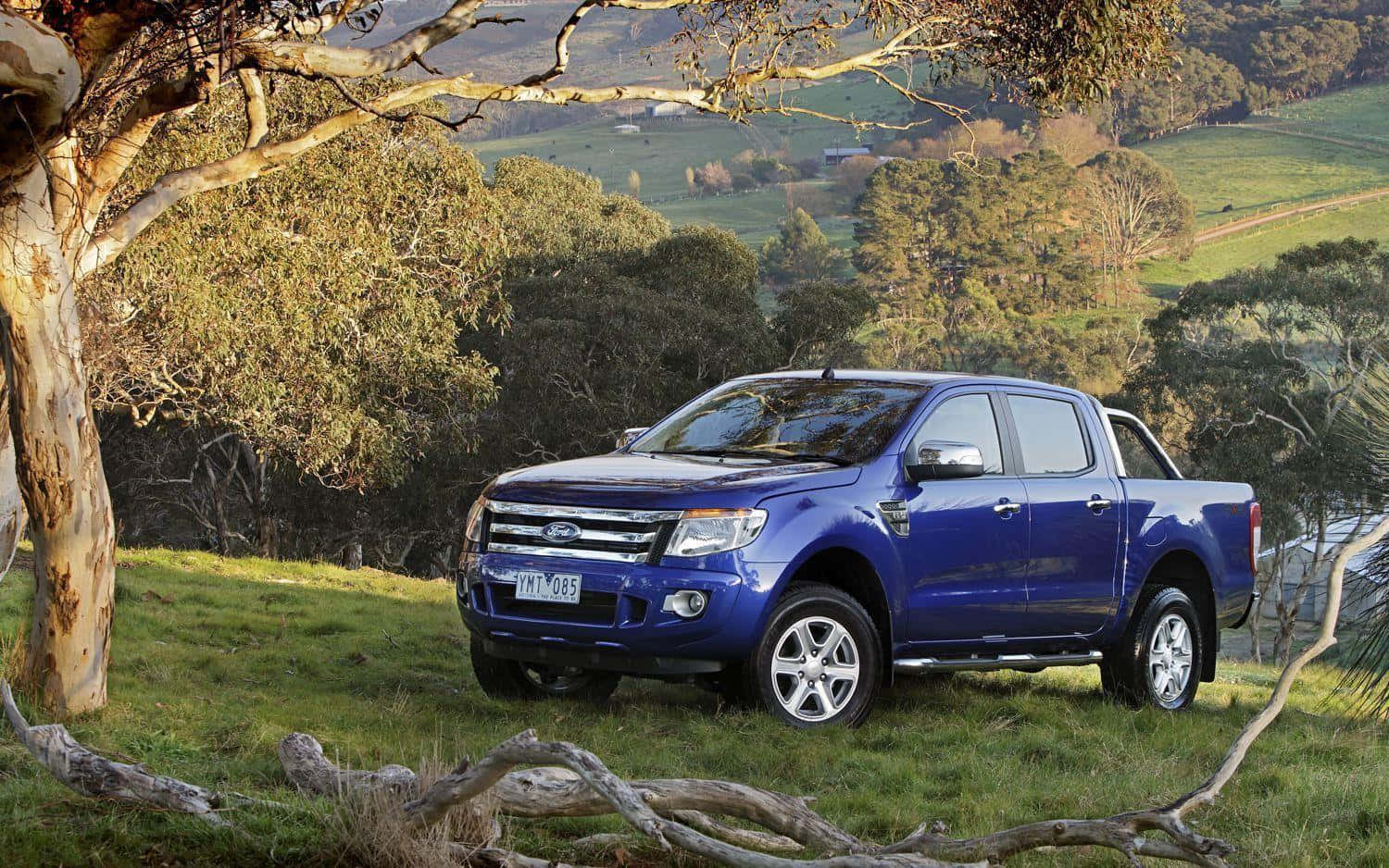 Ford Ranger 桌布 壁紙 — 一輛鮮藍色福特Ranger皮卡車停在草地上，沐浴在金黃陽光下，背景有樹木和起伏的山丘。