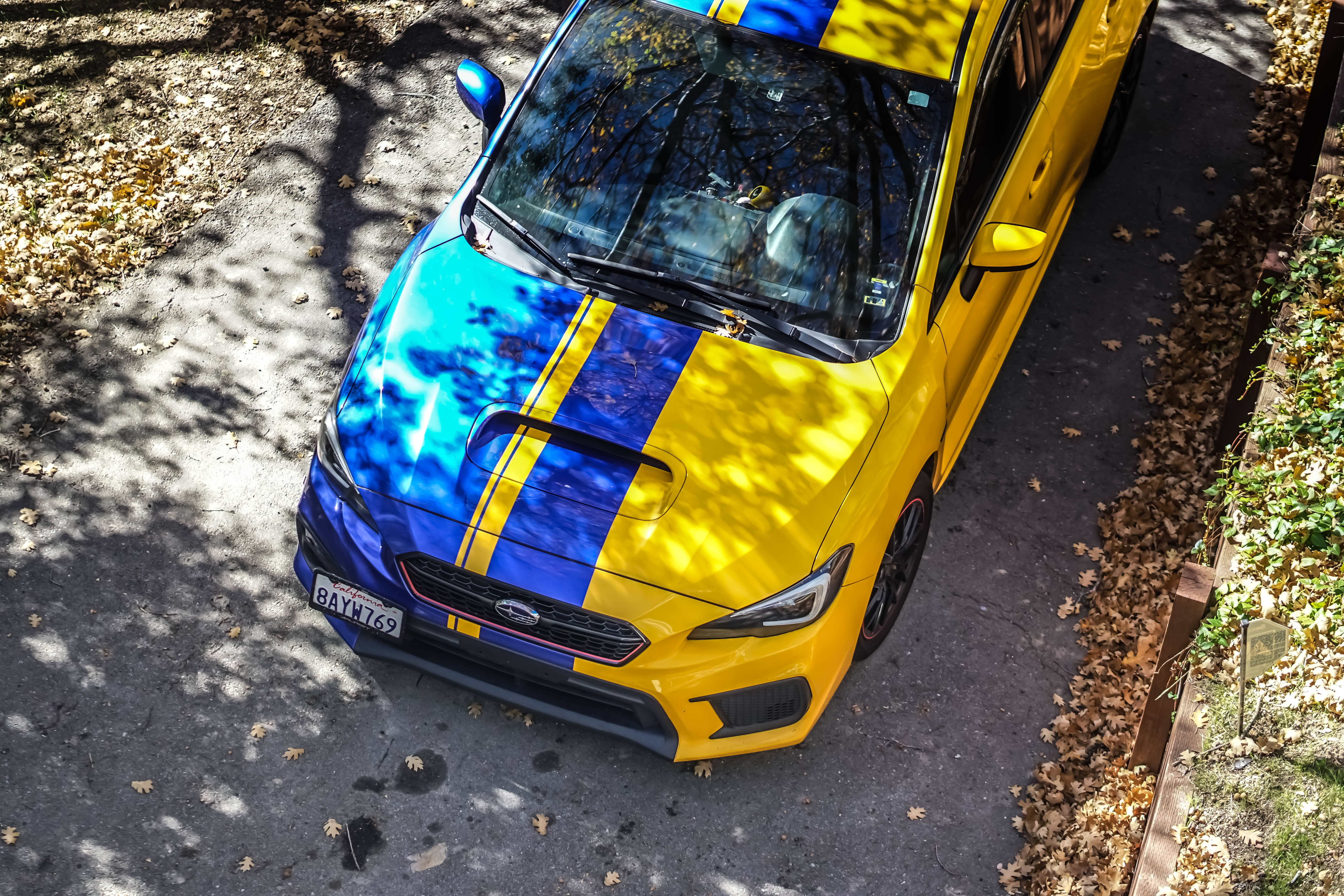 Sports Car 桌布 壁紙 — 一輛鮮黃色和藍色的Subaru WRX停泊在落葉滿佈、陽光斑駁的車道上。