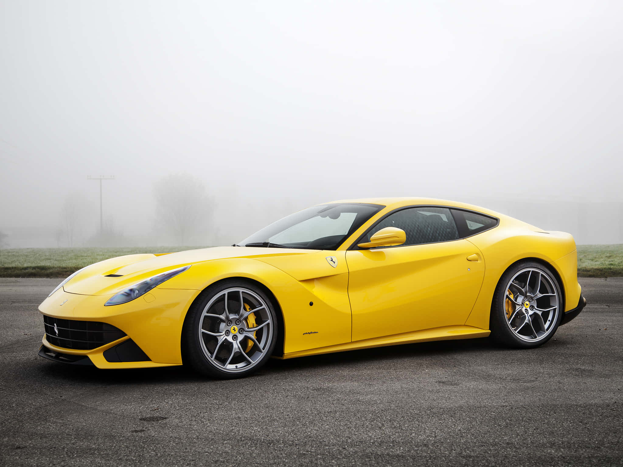 Ferrari Ff 桌布 壁紙 — 一輛鮮黃色的法拉利跑車在霧氣瀰漫的瀝青路上閃閃發光，背景是模糊的樹木。