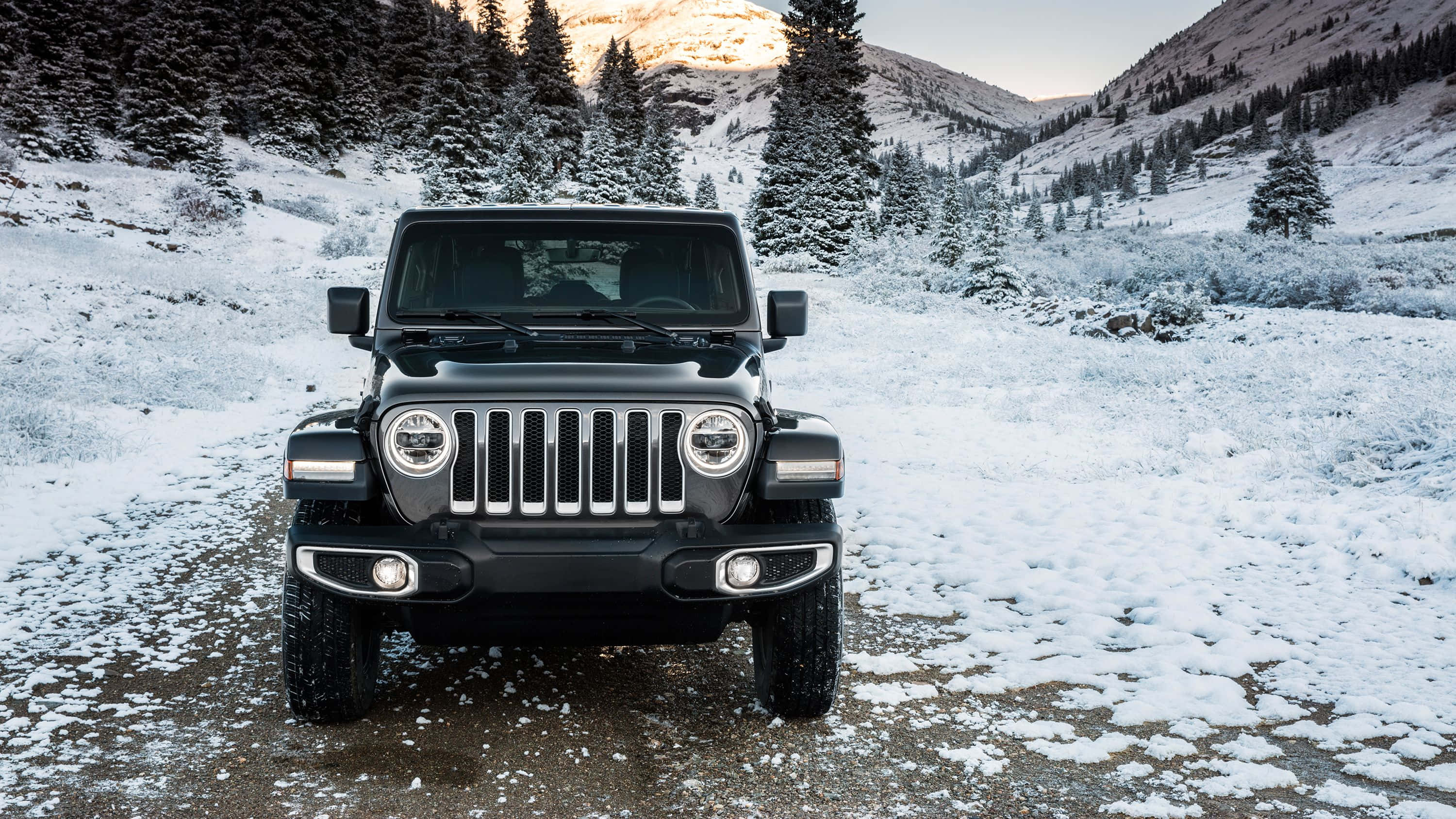 Jeep 動圖 桌布 壁紙 — 一輛黑色Jeep Wrangler在柔和的冬日天空下，勇敢地矗立在白雪覆蓋的山路上，周圍是灑滿雪花的常青樹。