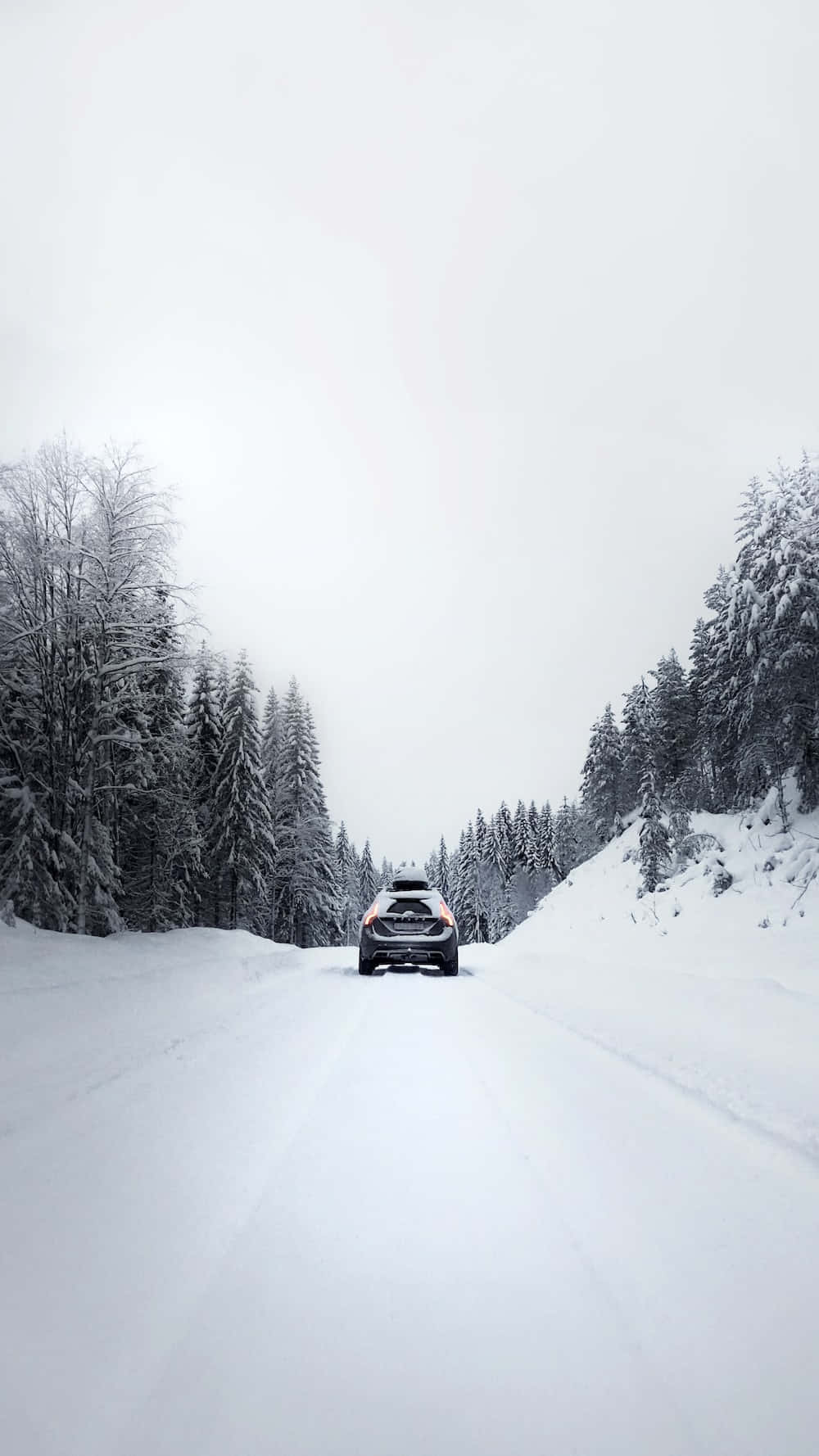 Snowy Road 桌布 壁紙 — 一輛黑色SUV在陰天下行駛在被雪覆蓋的森林道路上，兩旁是掛滿雪的常青樹。