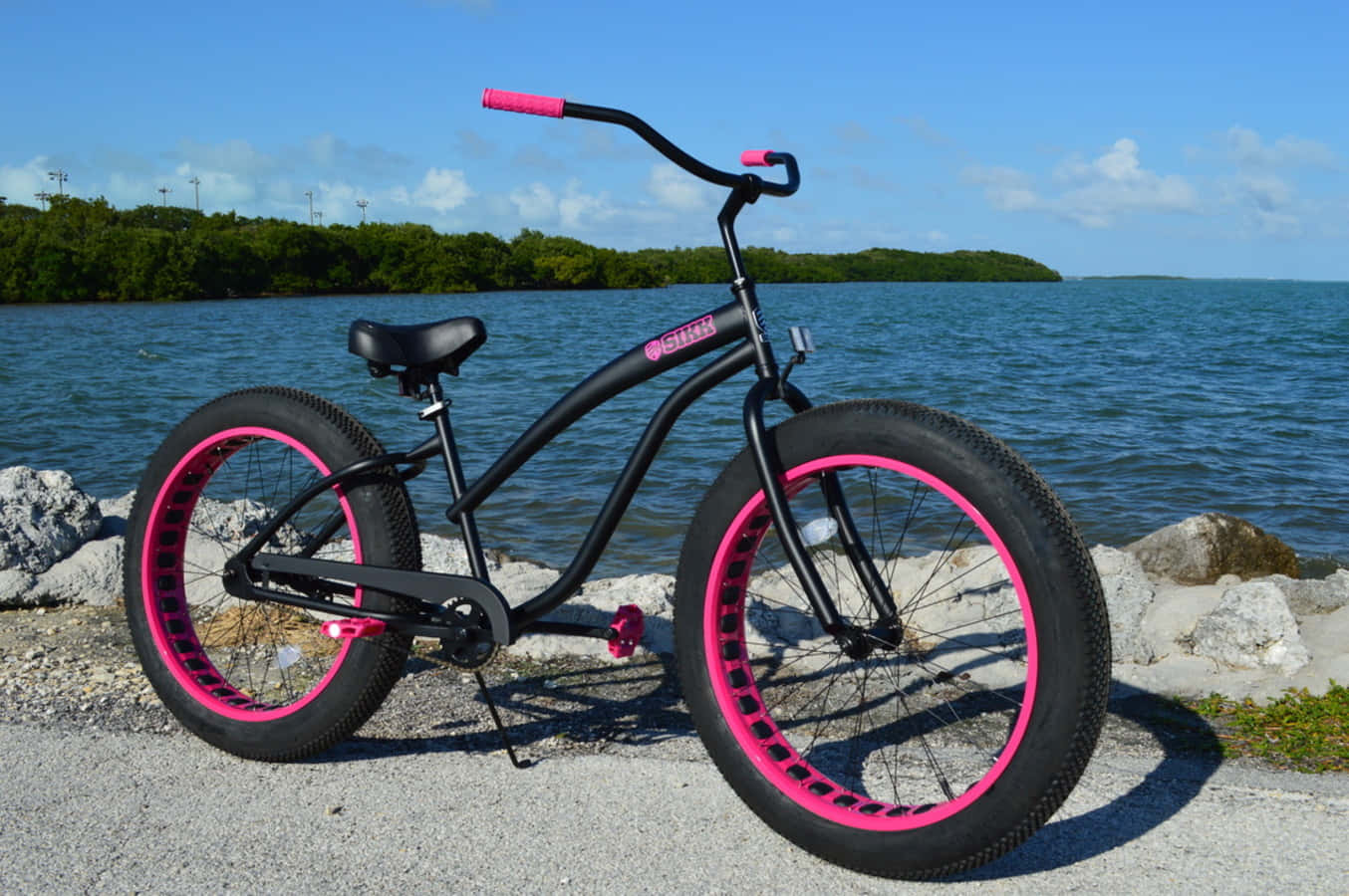 Beach Cruiser 桌布 壁紙 — 一輛黑色單車，配有充滿活力的粉紅色車輪和把手握把，站在晴朗藍天下岩石湖岸上。