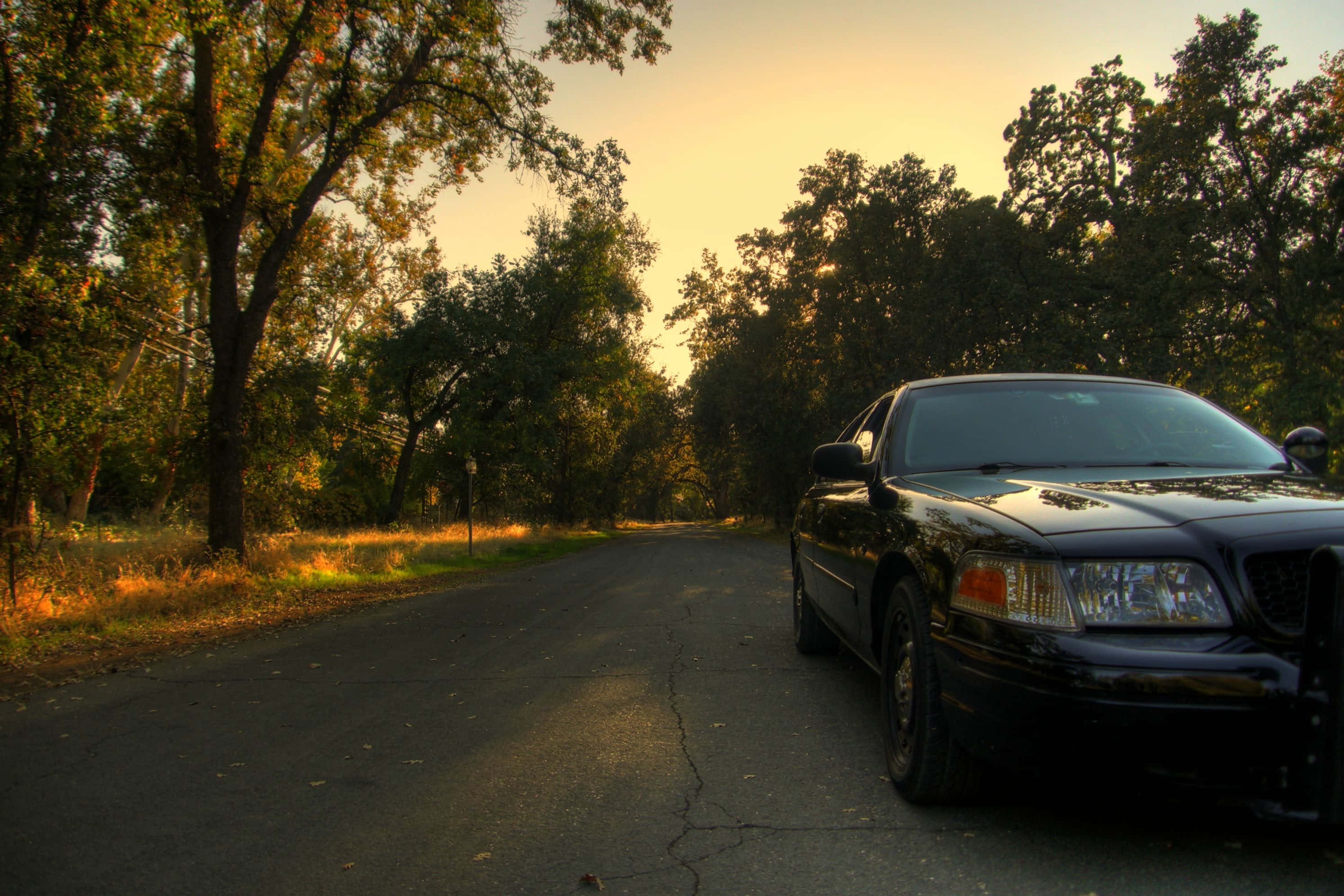 Ford Crown Victoria 桌布 壁紙 — 一輛黑色警車停在綠樹成蔭的道路上，正值黃金時刻，溫暖的陽光透過樹葉灑落。