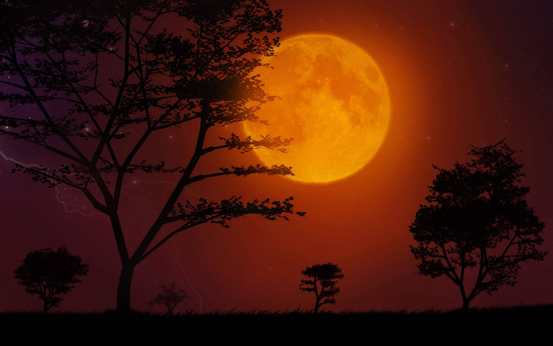 月色夜空 桌布 壁紙 — 一輪巨大的橙色月亮在星光點點的紫色夜空下，在剪影樹木後方發光，伴有微弱的閃電。