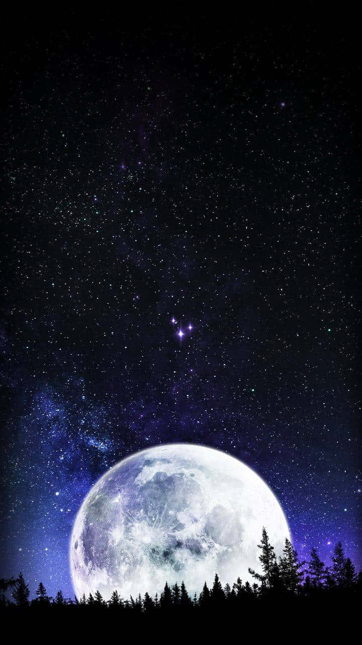 Moon Night 桌布 壁紙 — 一輪巨大的發光月亮在松樹林剪影上方升起，下方是佈滿星星的紫色夜空，可見星座。