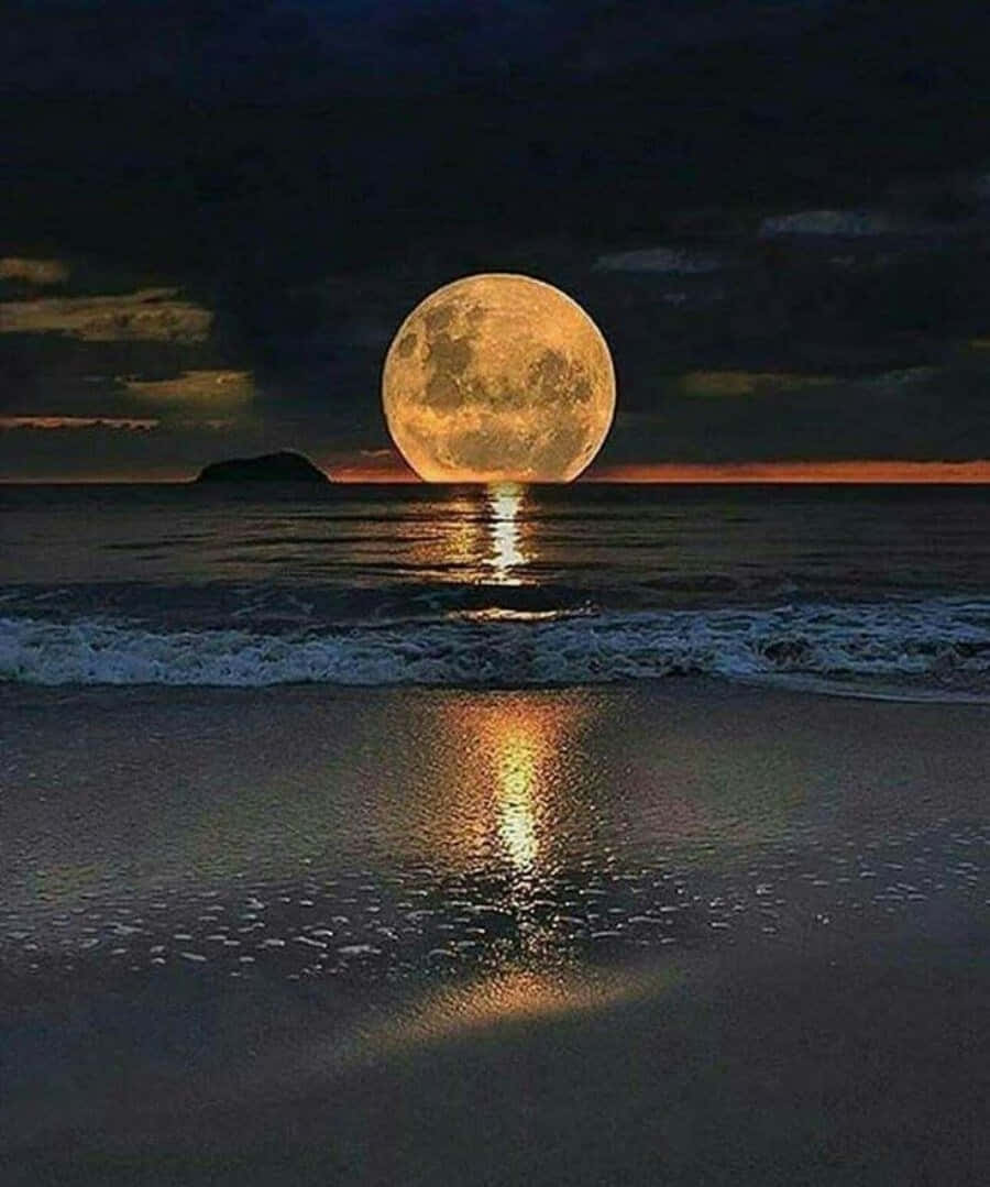 Beautiful Moon 桌布 壁紙 — 一輪巨大的發光滿月從黑暗的海洋上升起，在濕沙和溫柔的海浪上投下金色的倒影。