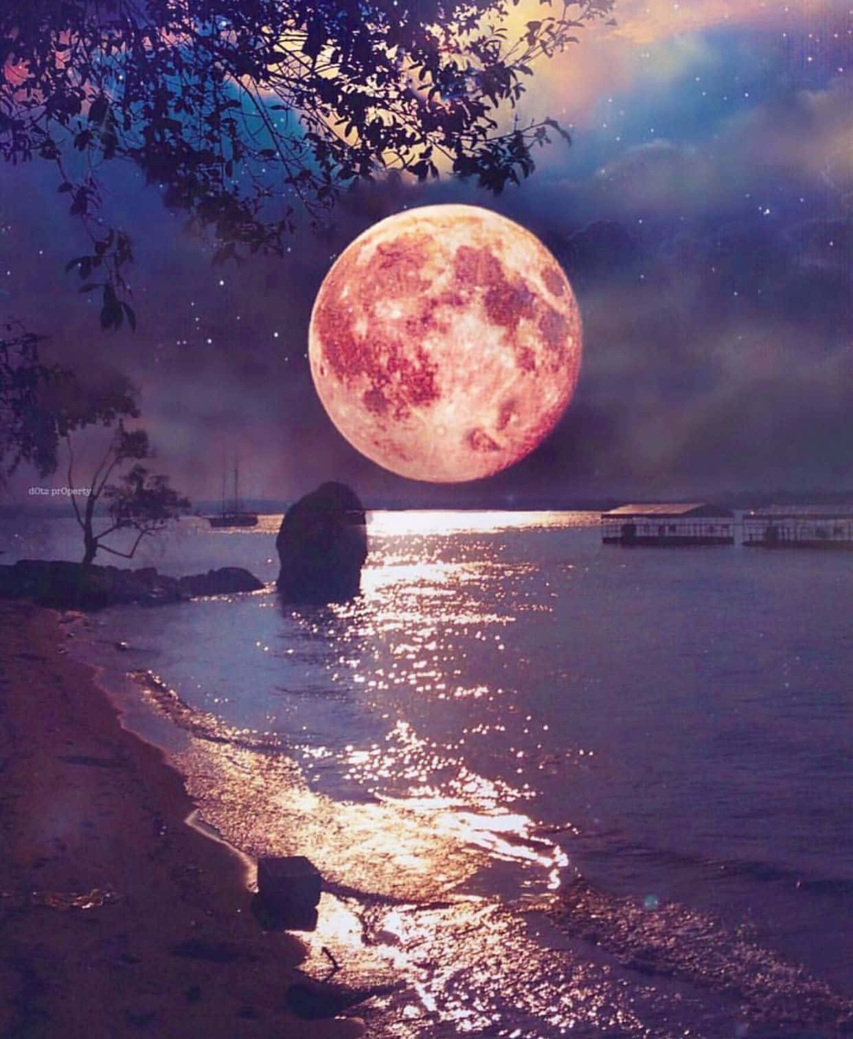 Beautiful Moon 桌布 壁紙 — 一輪巨大的發光紅月升起在寧靜的海灣上，倒映在水中，襯托著剪影樹木和遠處的船隻，在繁星點點的夜空下。