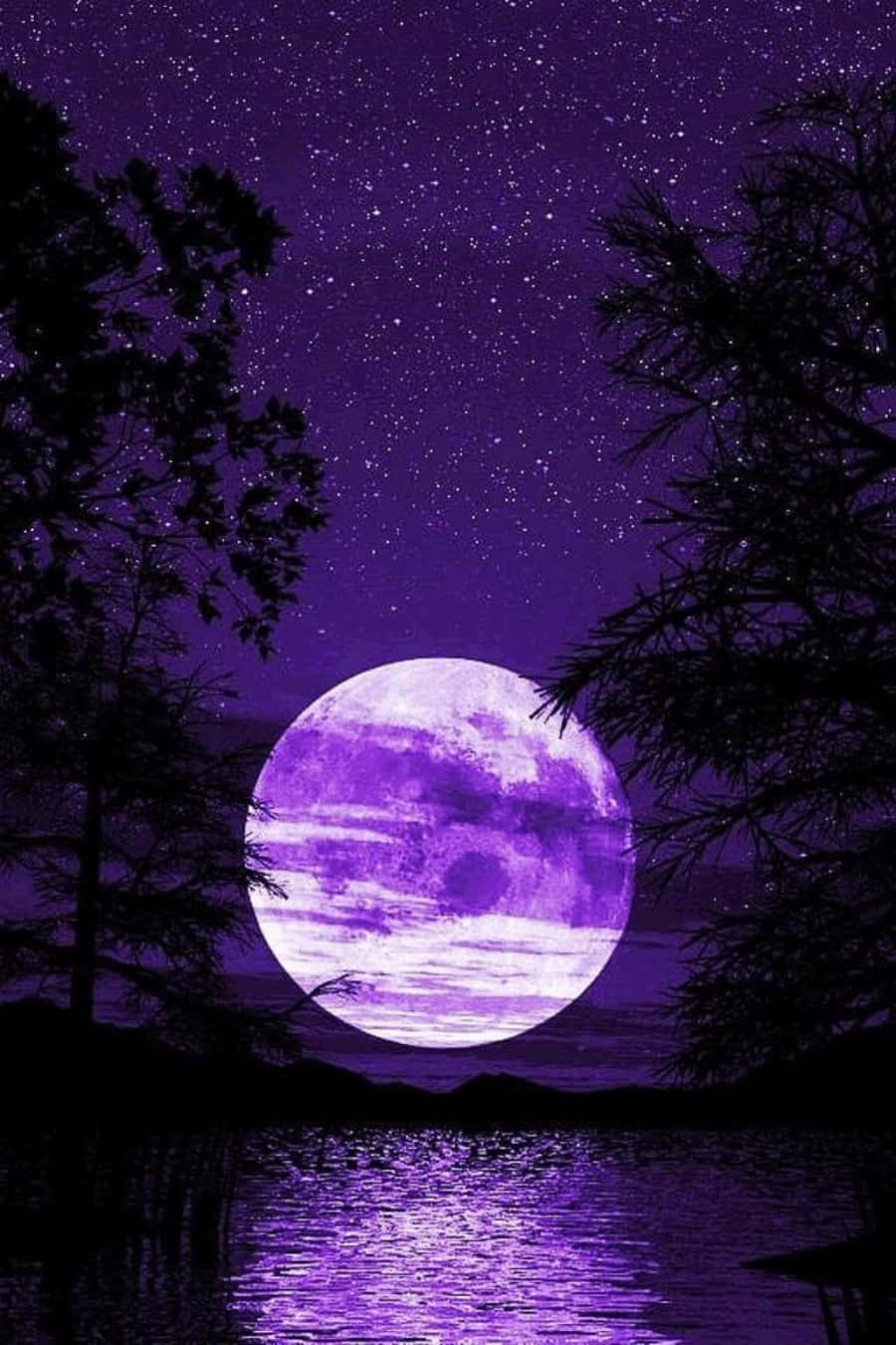 Beautiful Moon 桌布 壁紙 — 一輪巨大的紫色月亮在繁星點點的夜空下發光，被黑暗的樹木剪影框住，並倒映在平靜的湖面上。