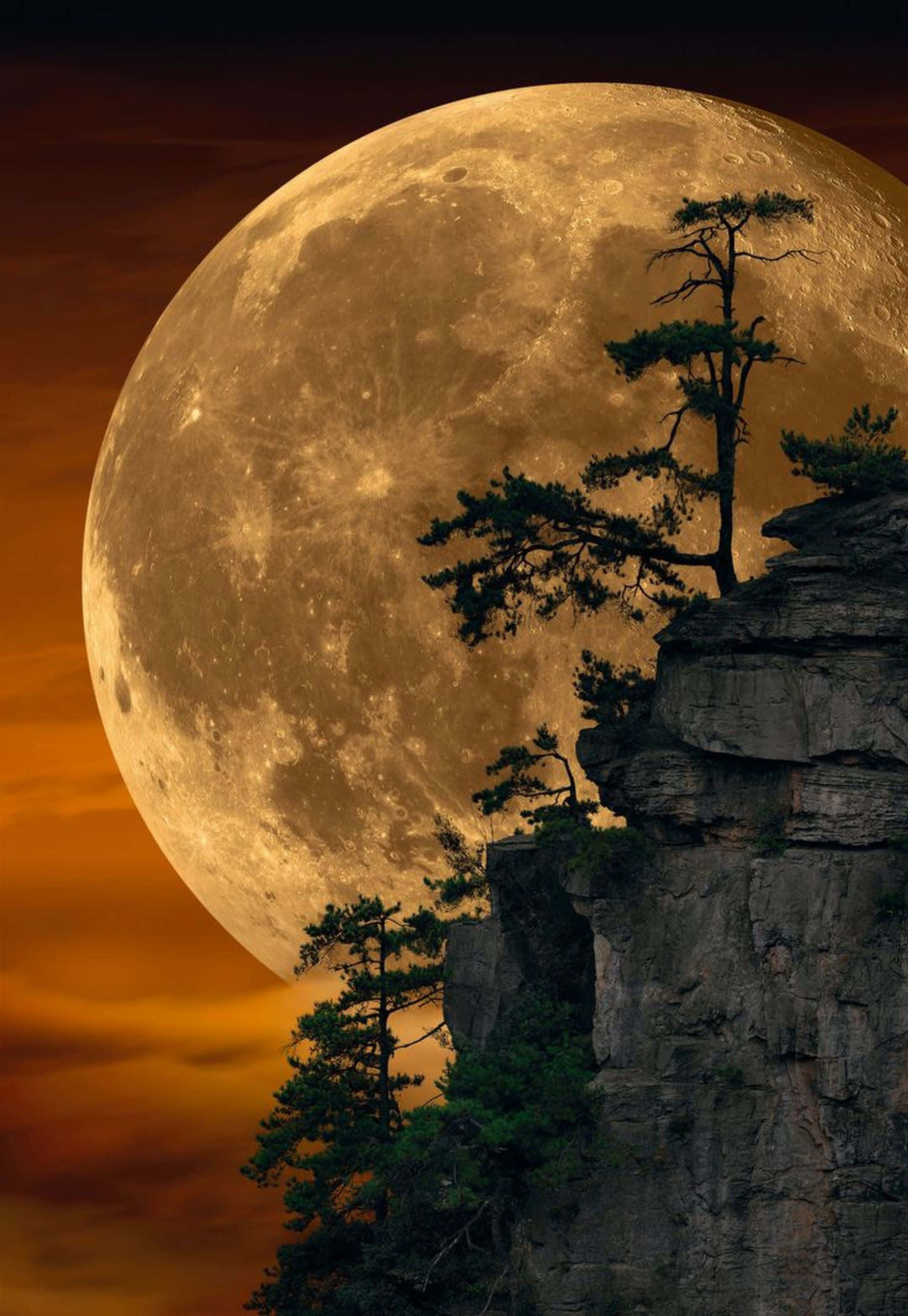 Beautiful Moon 桌布 壁紙 — 一輪巨大的金色月亮在岩石懸崖後升起，松樹的剪影映襯著橙色的暮色天空。